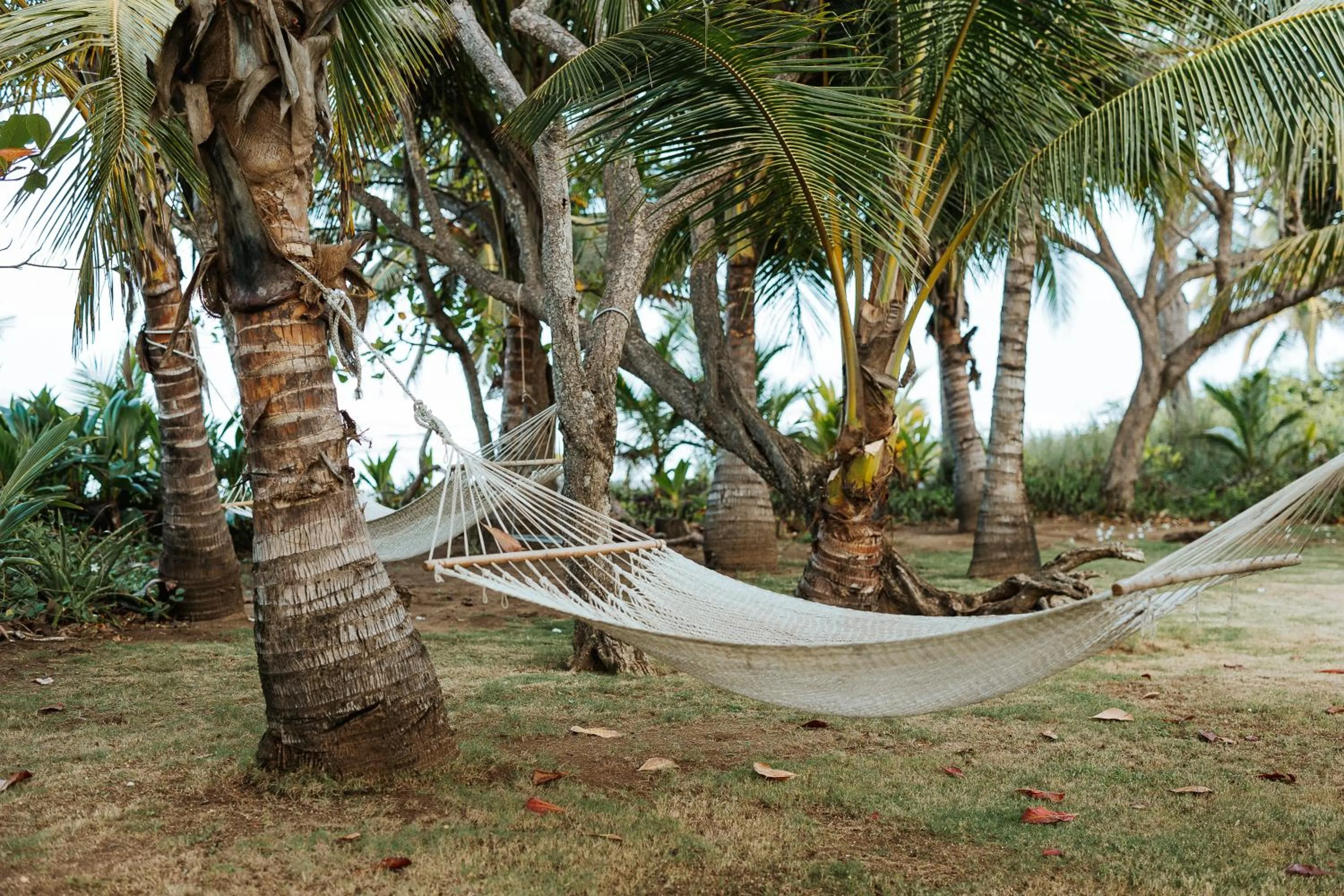 Natural landscape in Salvatierra Beachfront Hotel
