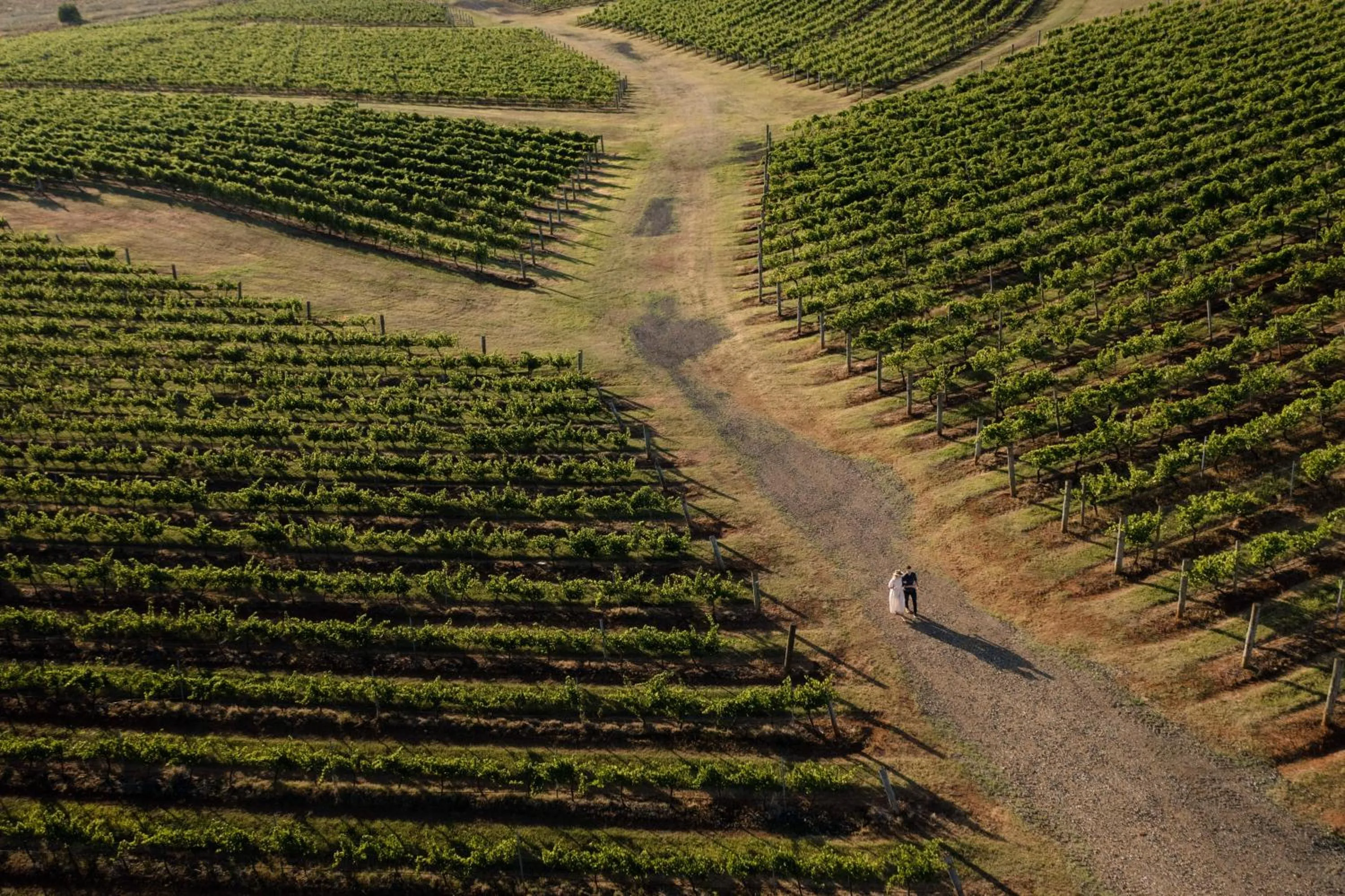 Natural landscape in The Lane Retreat
