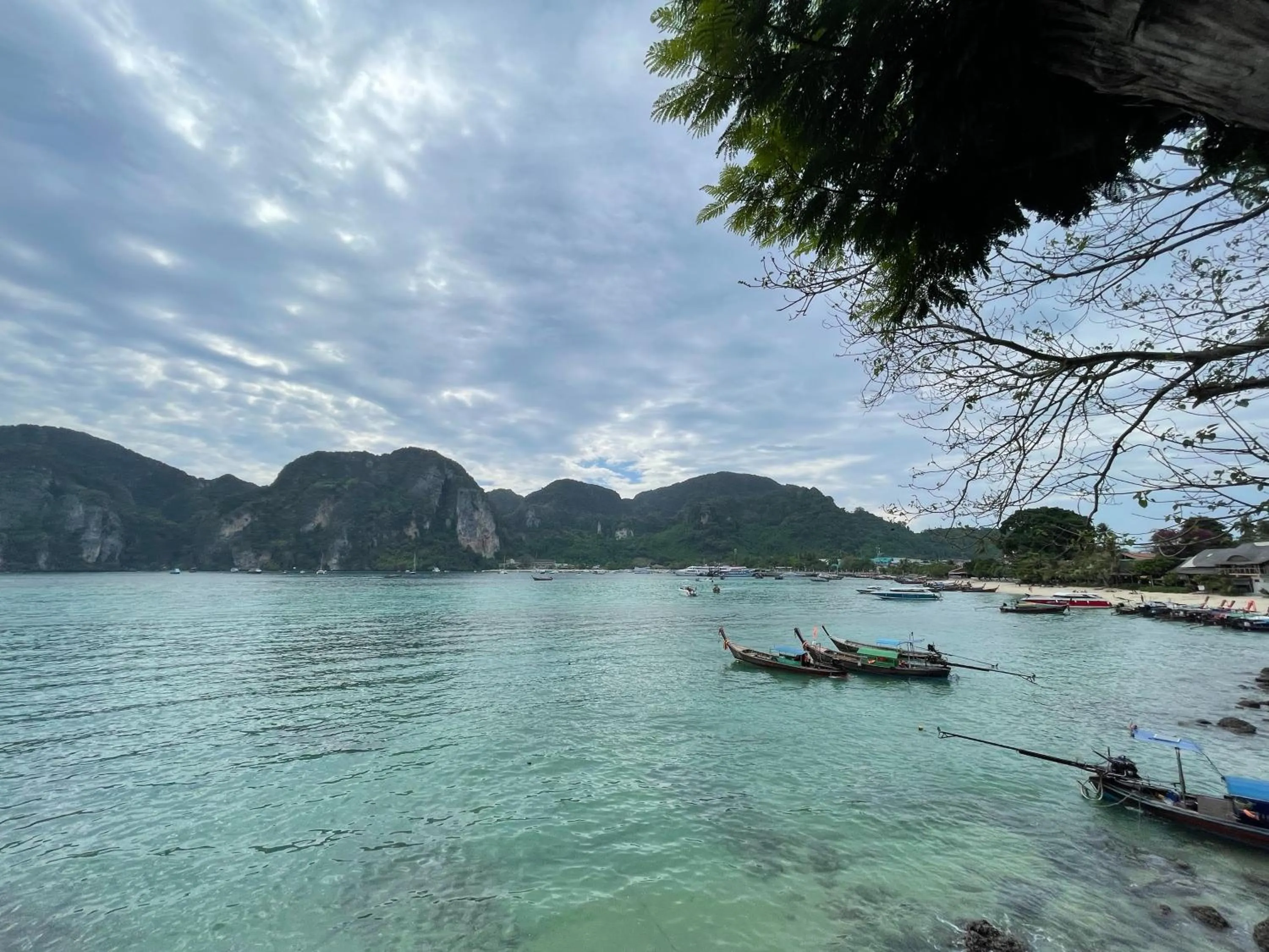 Day in Bodega Koh Phi Phi