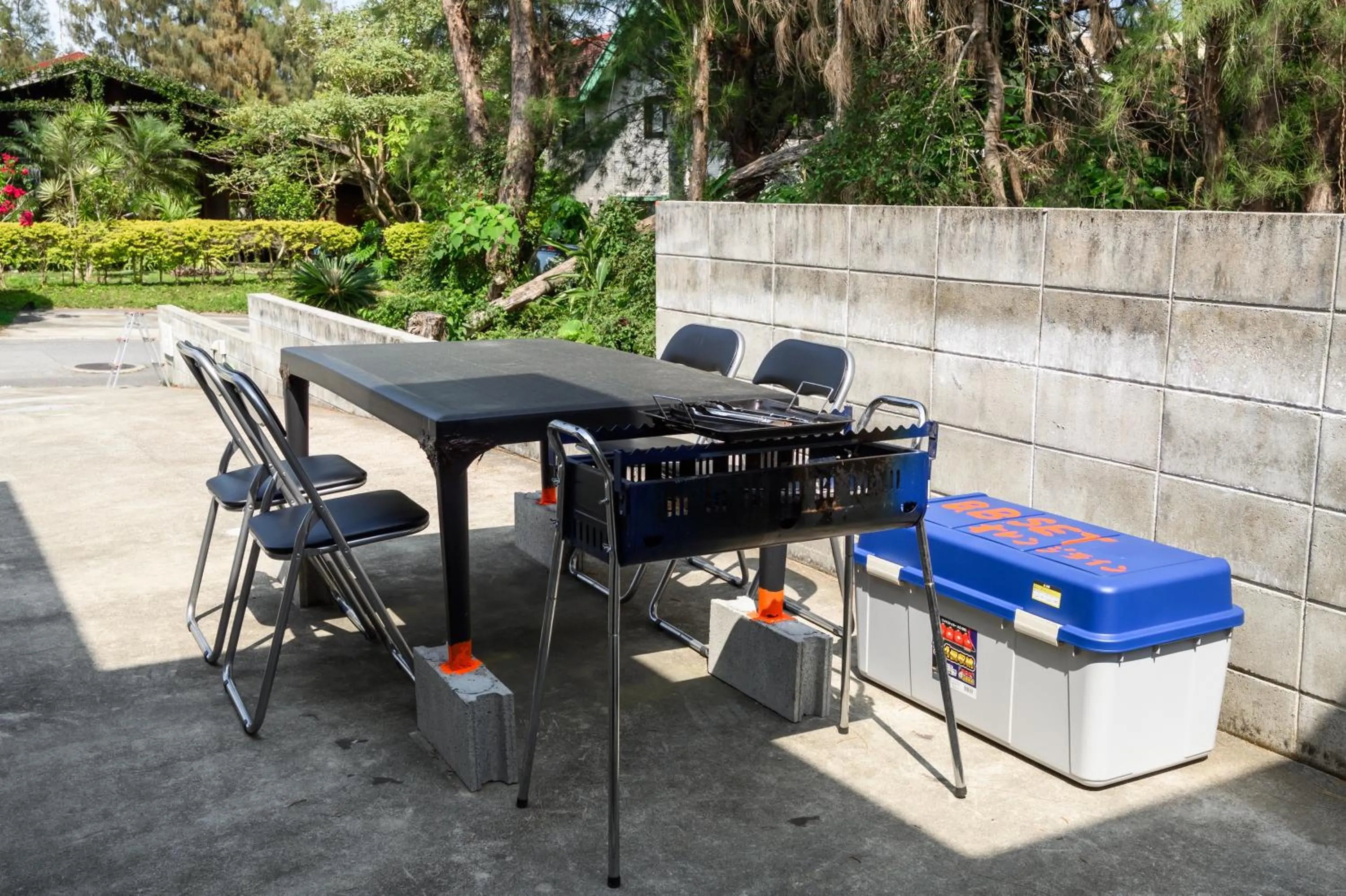 Activities in Orange Line