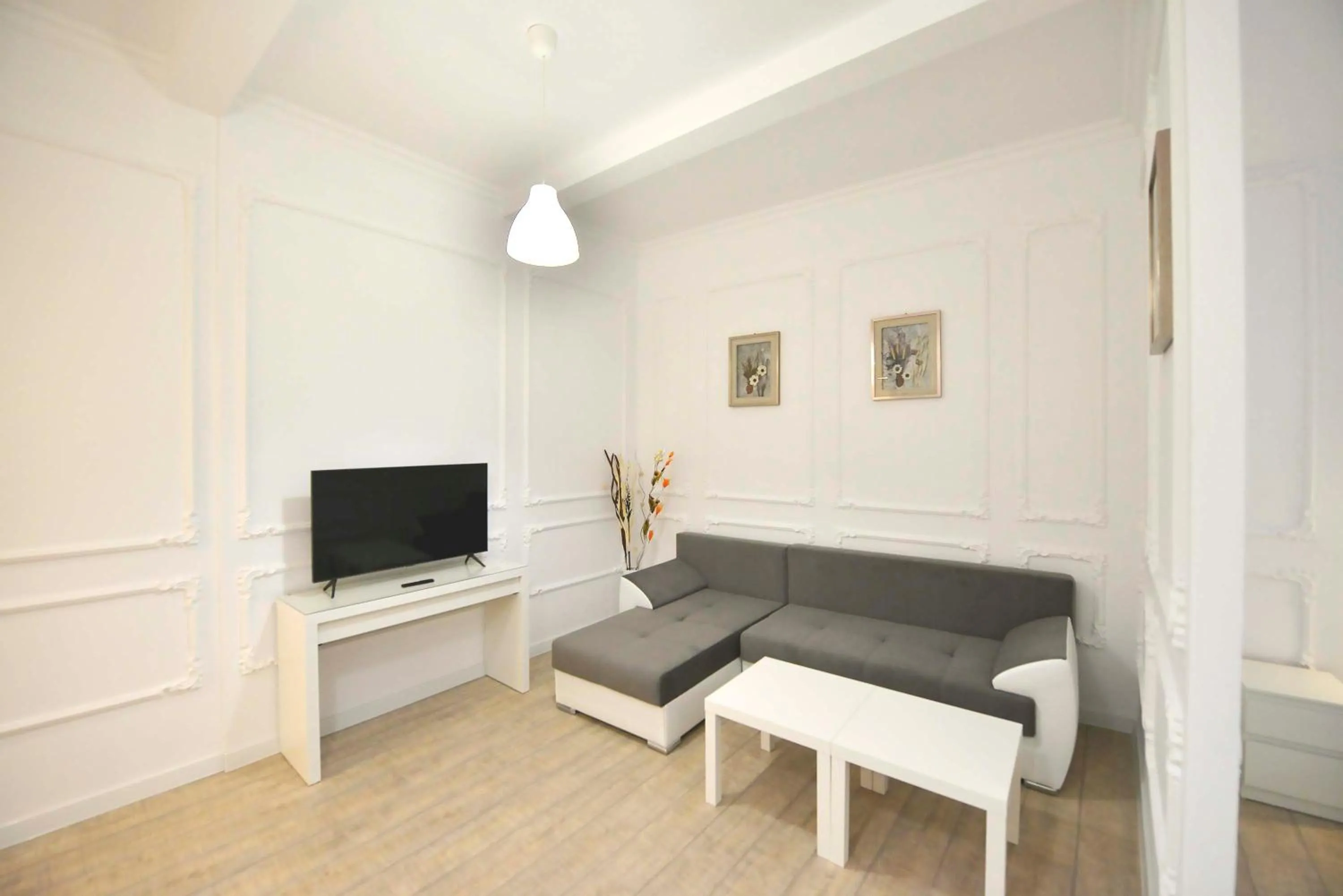 Living room in Otilia