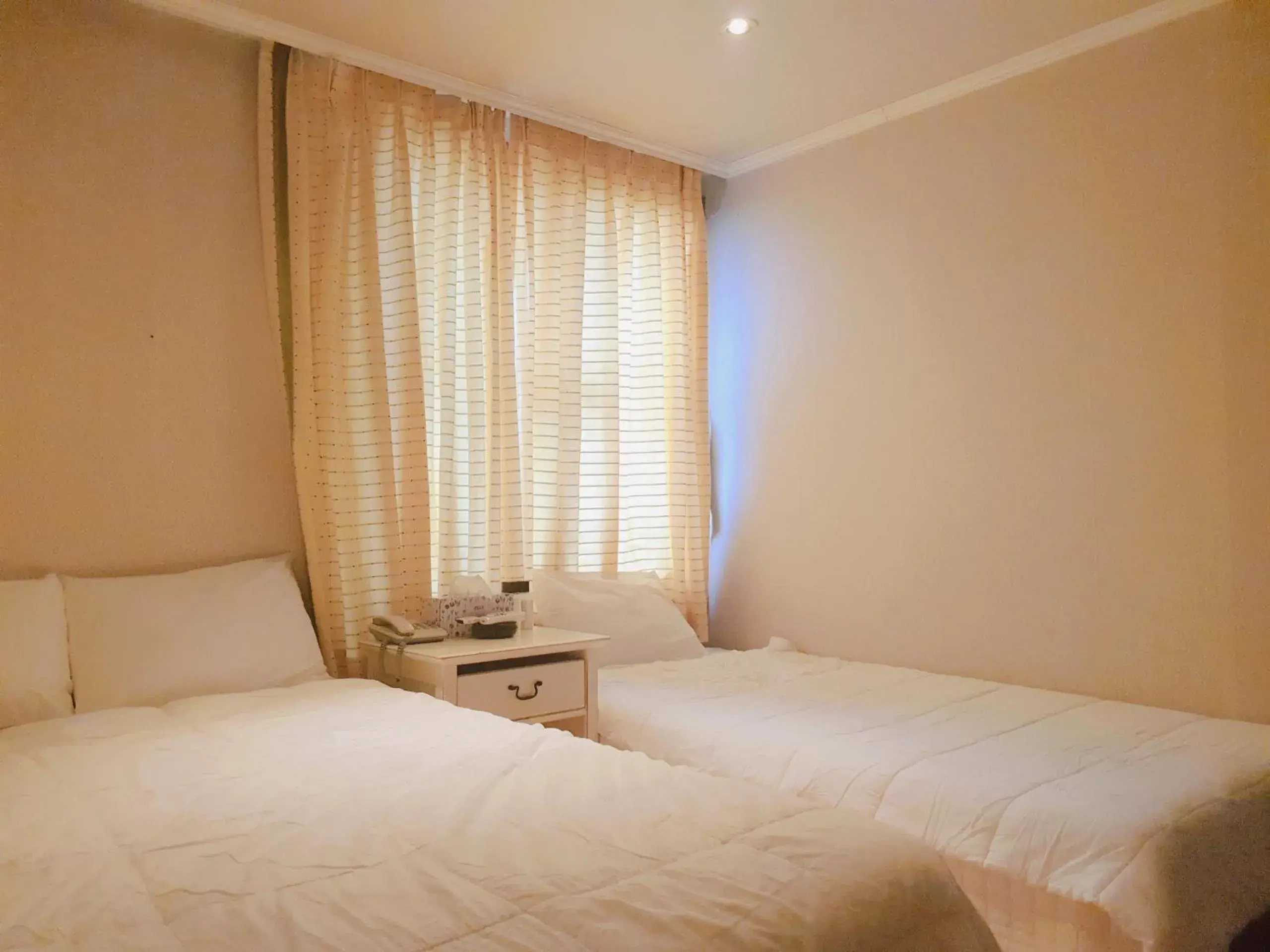 Deluxe Twin Room in Hotel Good Inn Deluxe Twin Room in Hotel Good Inn