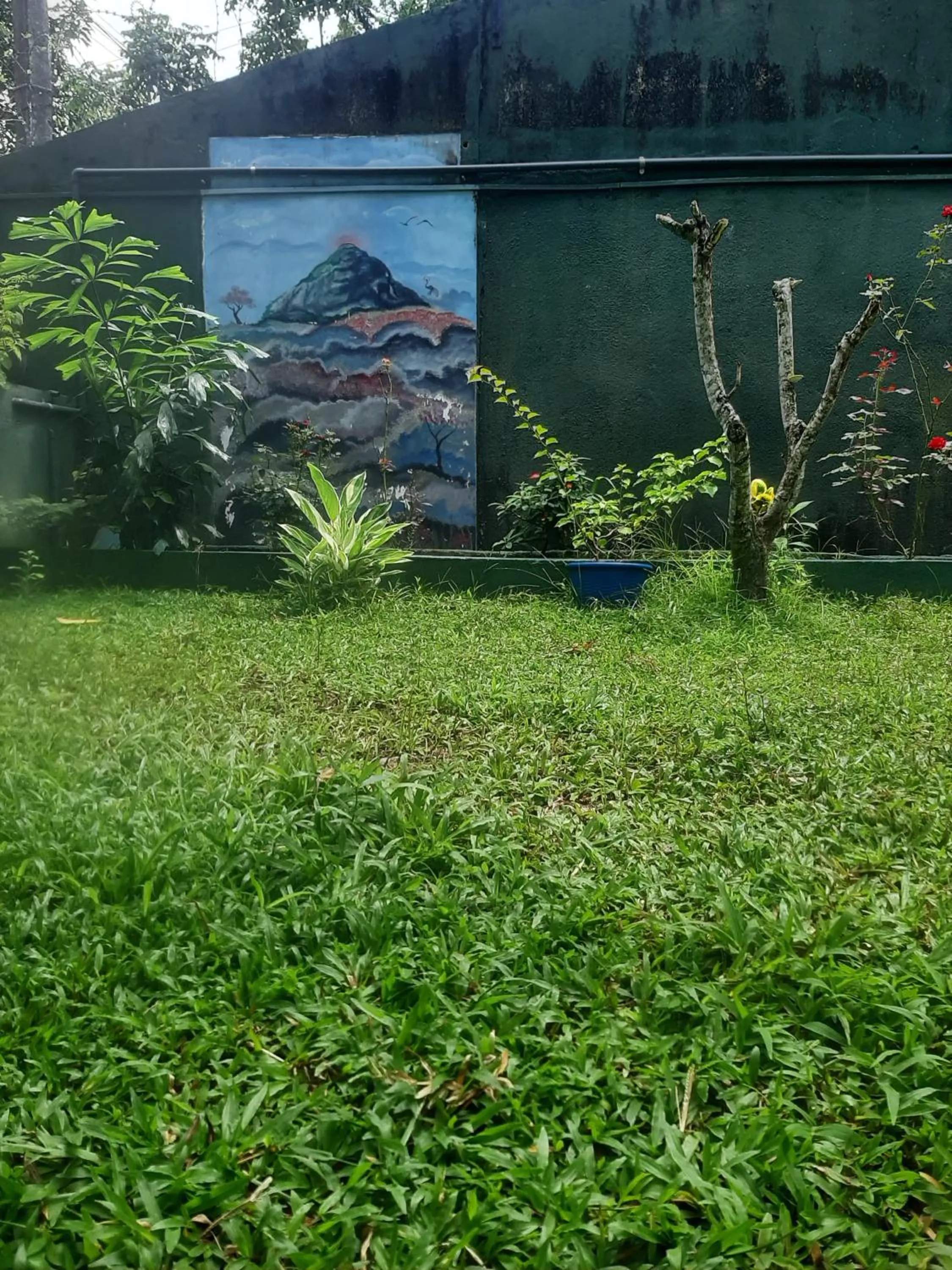 Garden in Serendip Villa Holiday Home Talalla Sri Lanka