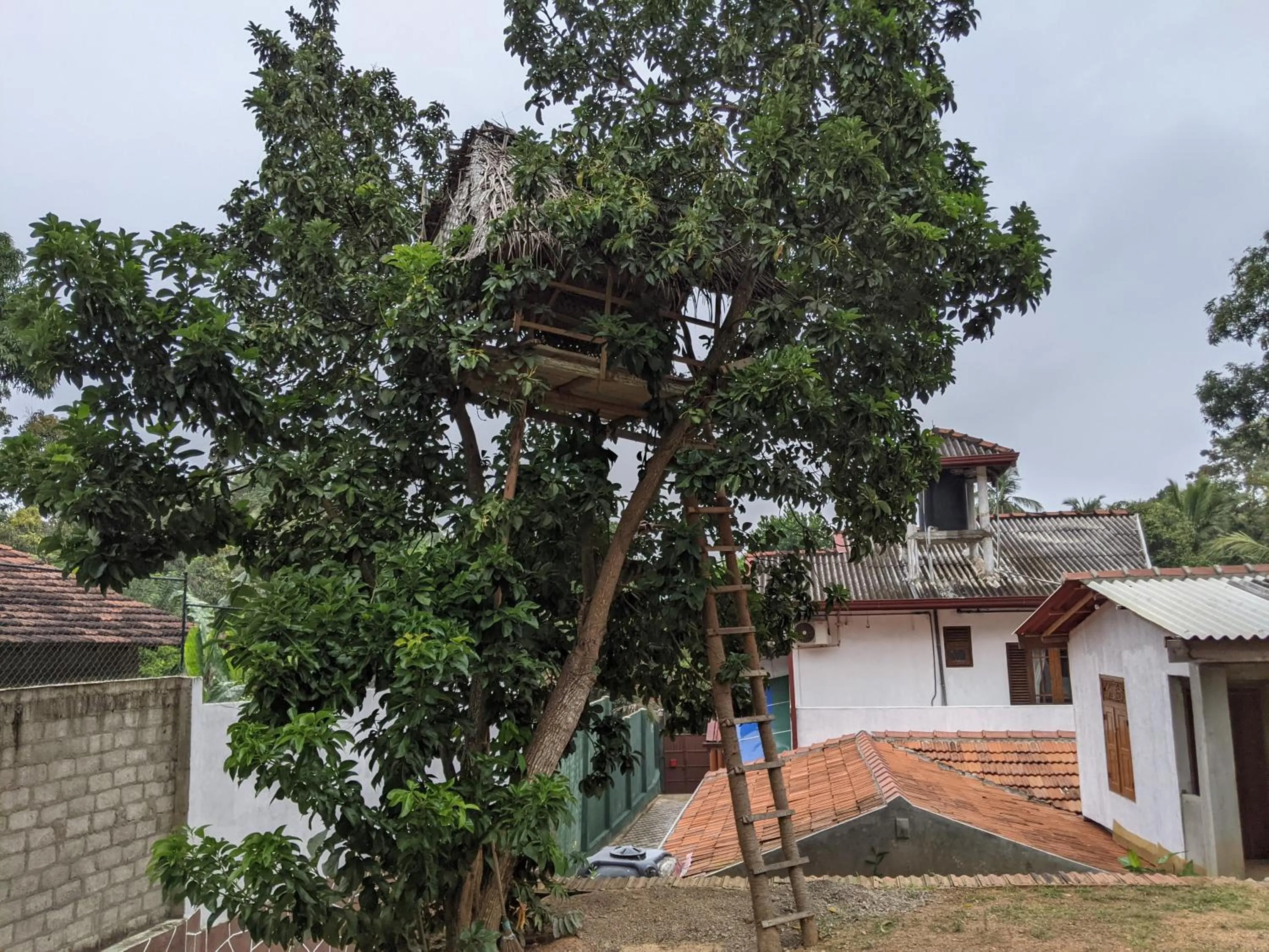 Landmark view in Serendip Villa Holiday Home Talalla Sri Lanka