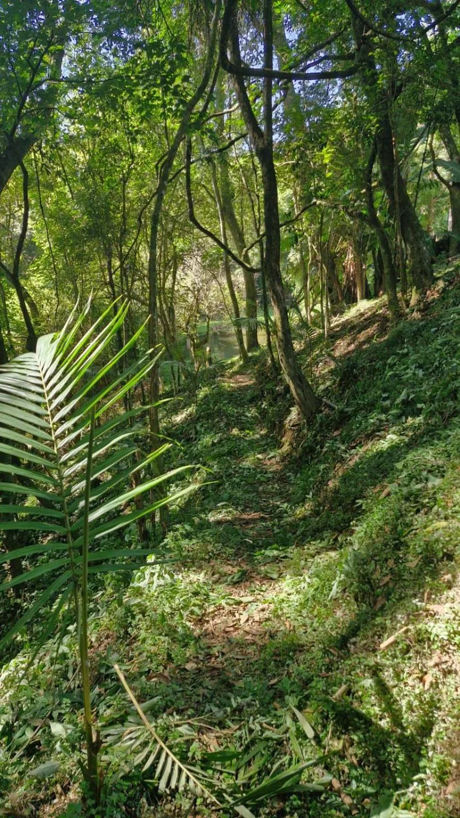 Natural landscape in Pousada Boutique Mercedes