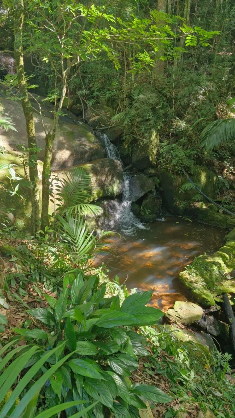 Natural landscape in Pousada Boutique Mercedes