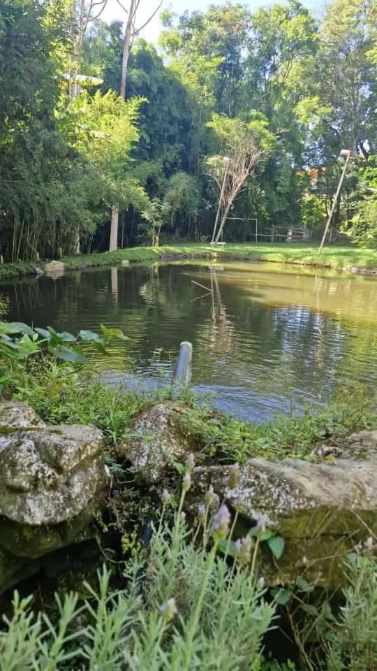 Lake view in Pousada Boutique Mercedes