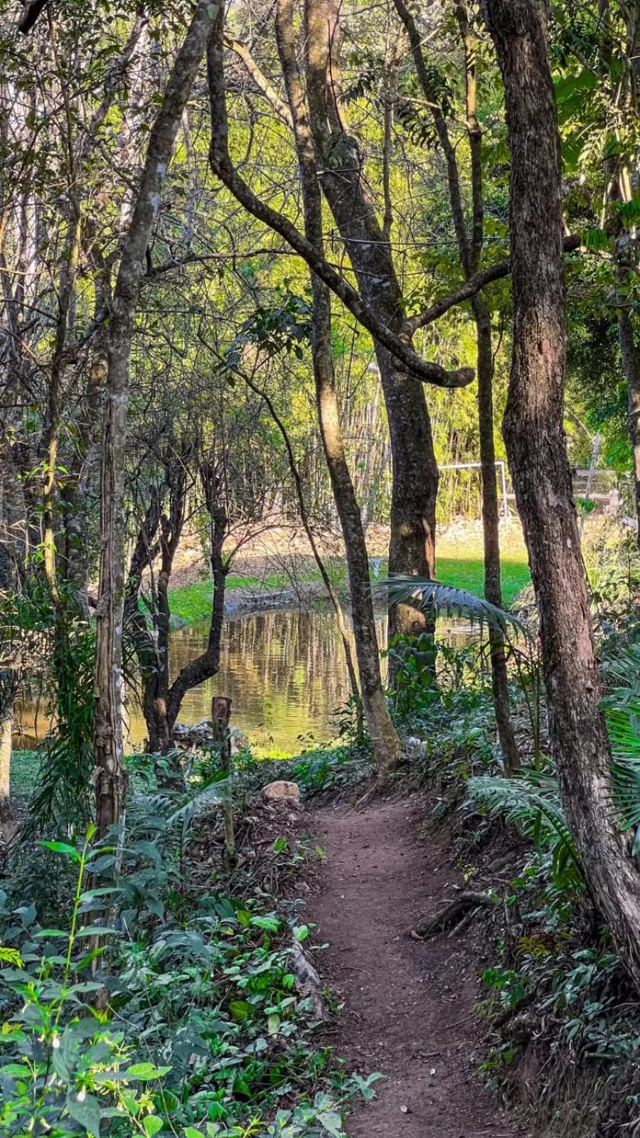 Natural landscape in Pousada Boutique Mercedes