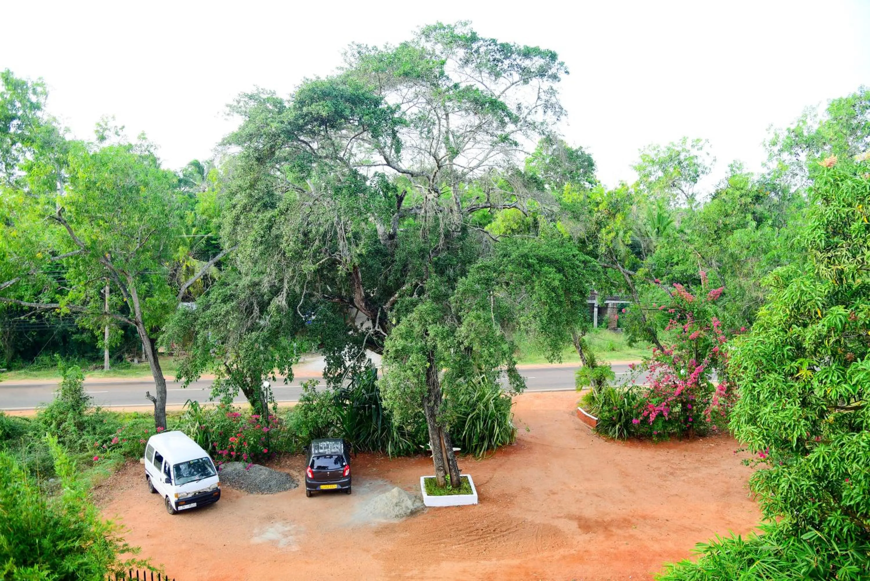 Garden view in Hotel MOONSTONE
