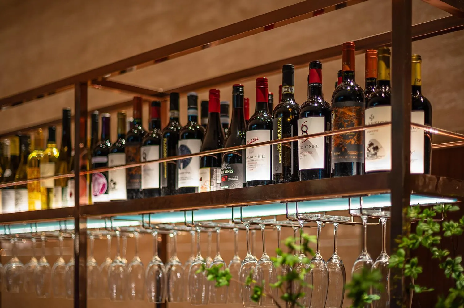 Restaurant/places to eat in Candeo Hotels Osaka Shinsaibashi