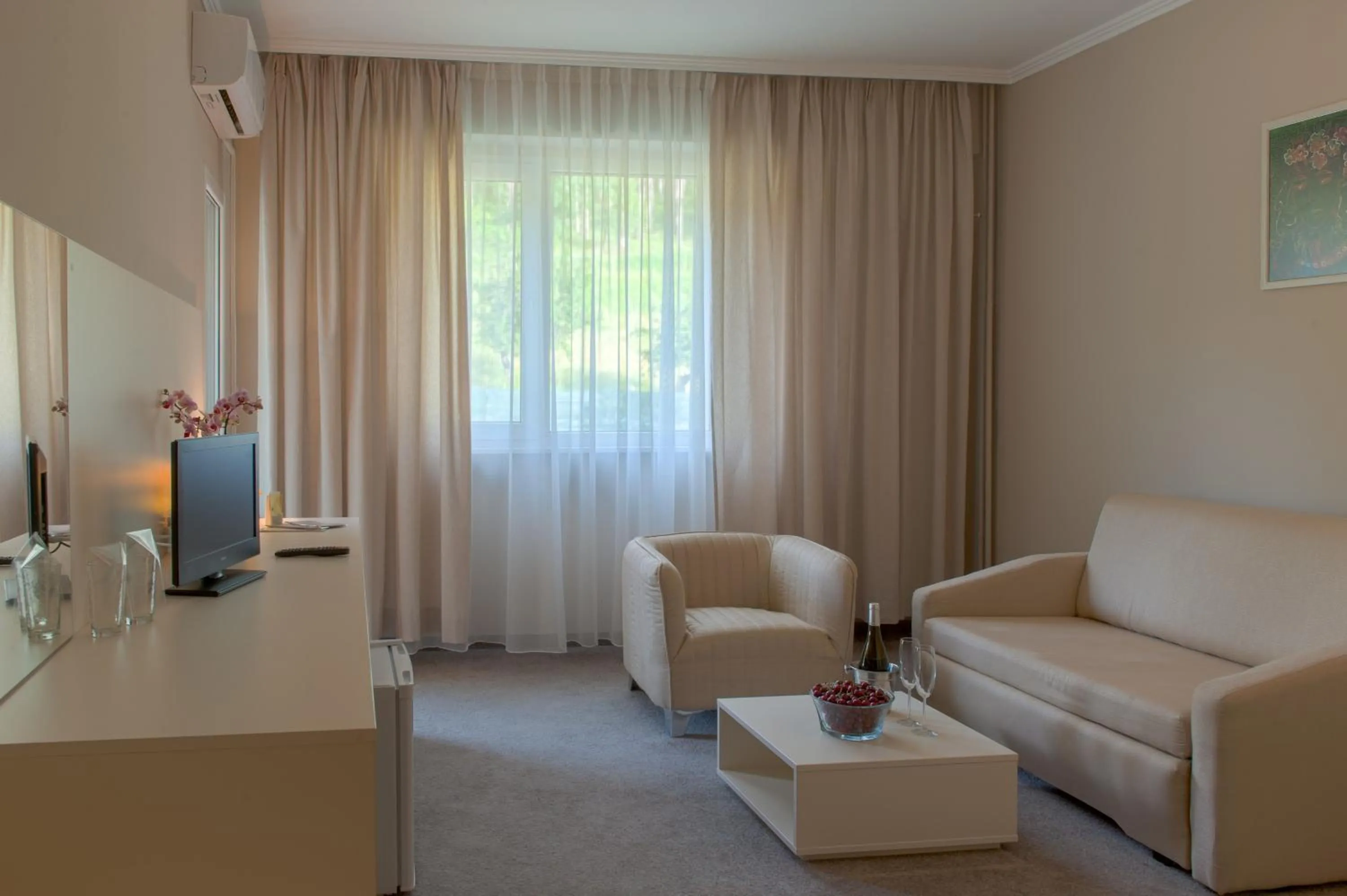 Living room in Парк хотел Кюстендил