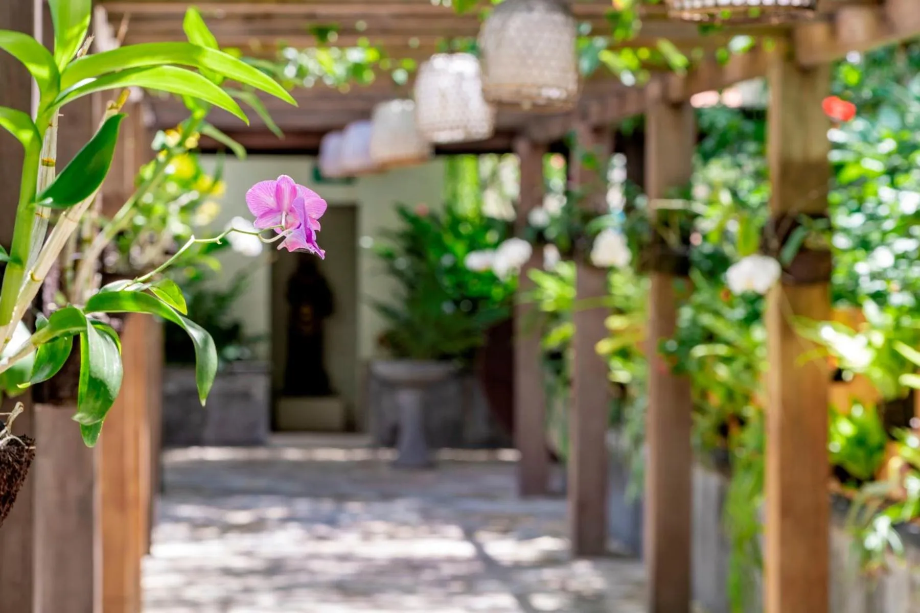 Garden in Duaraloka Sanur