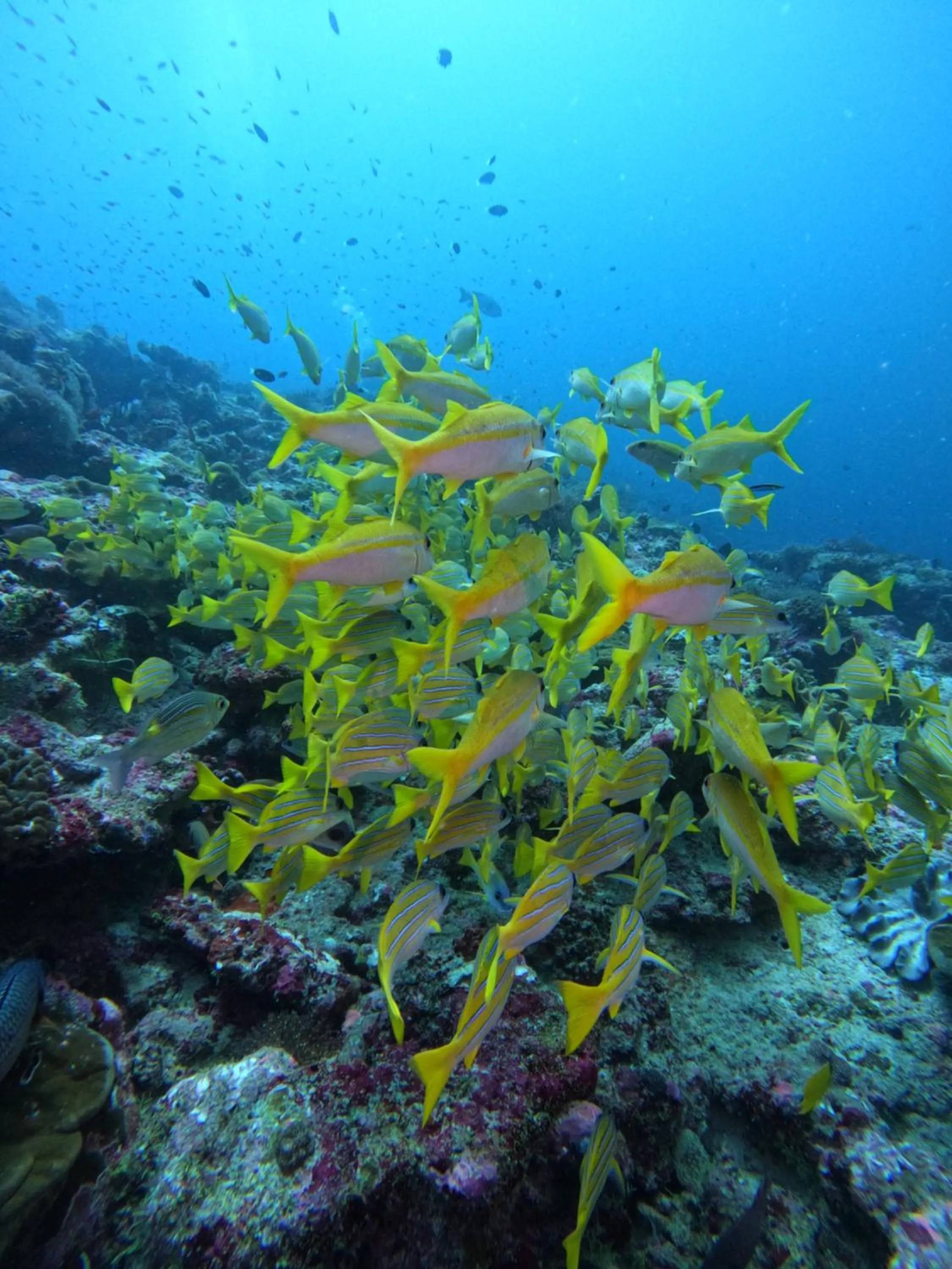 Activities in FUNPLACE BEACH