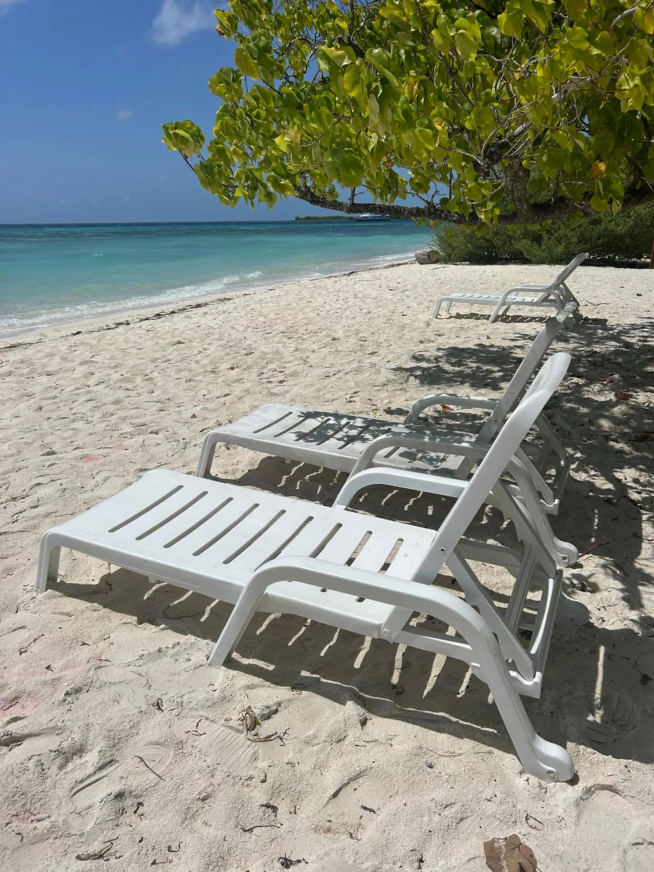 Day in FUNPLACE BEACH