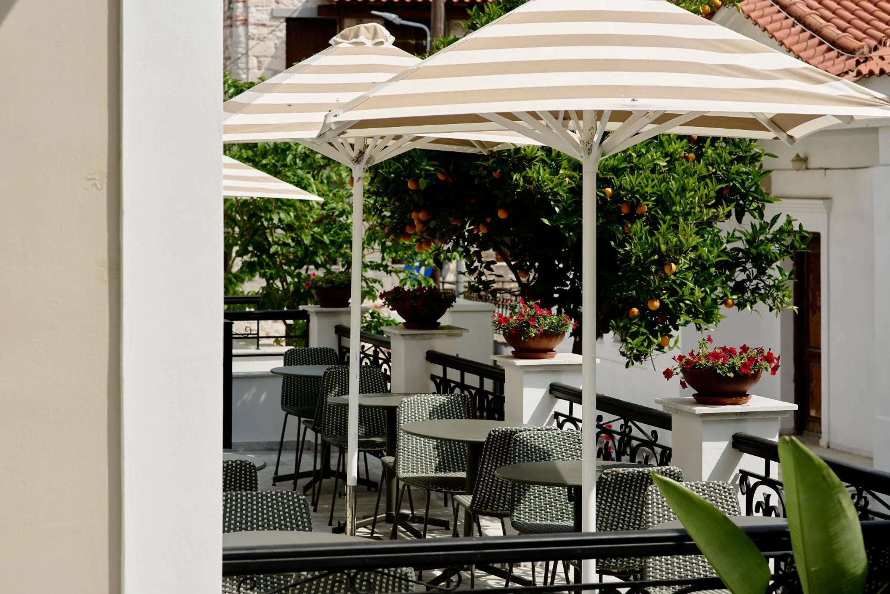 Patio in Doryssa Theorem Hotel