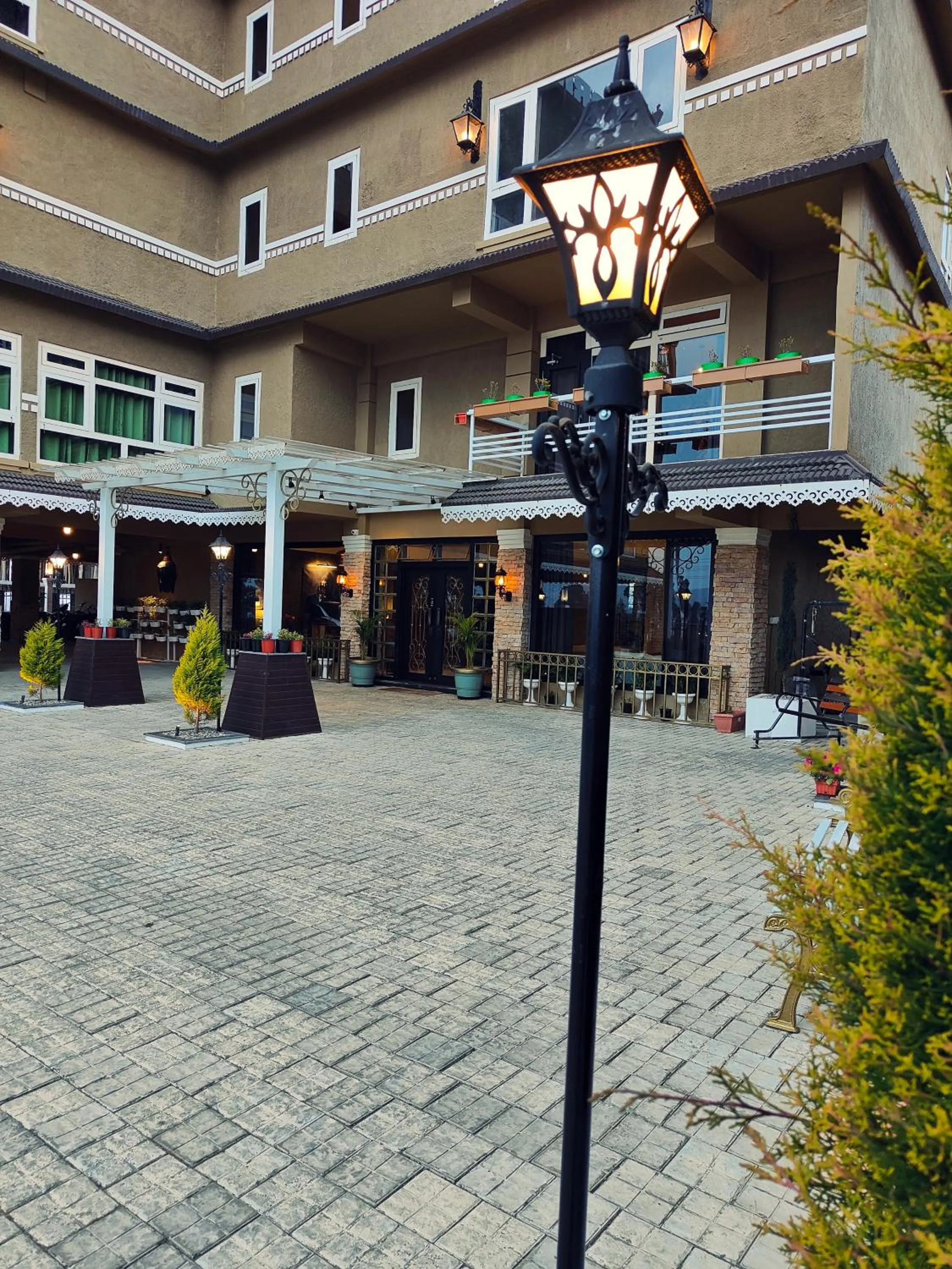 Garden view in Hotel Acropolis