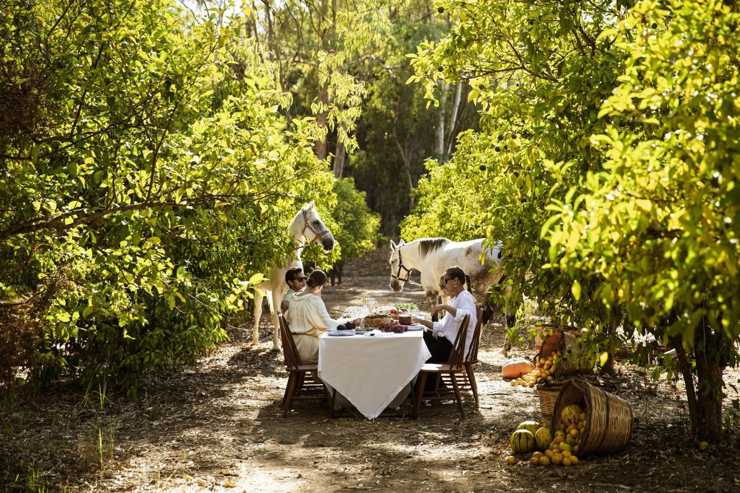 Horse-riding in Domes Aulūs Zante, All Inclusive, Autograph Collection