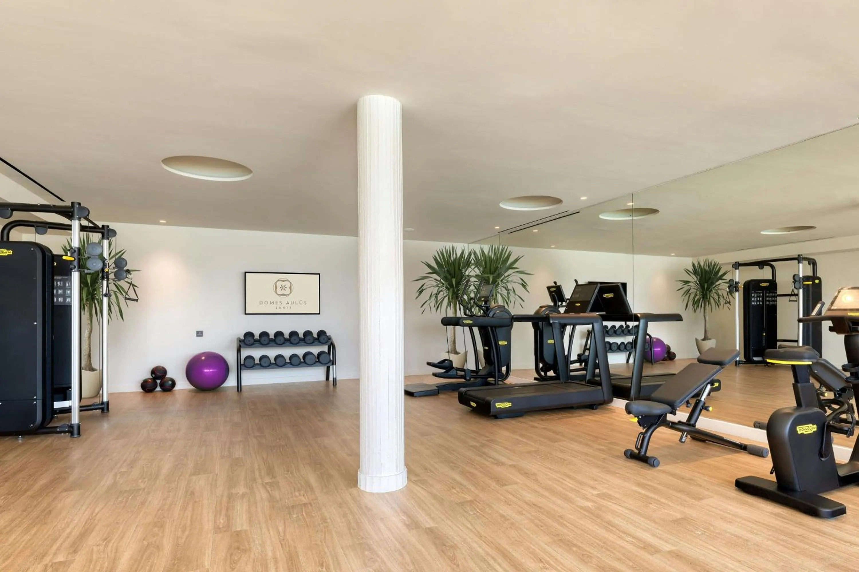 Fitness centre/facilities in Domes Aulūs Zante, All Inclusive, Autograph Collection