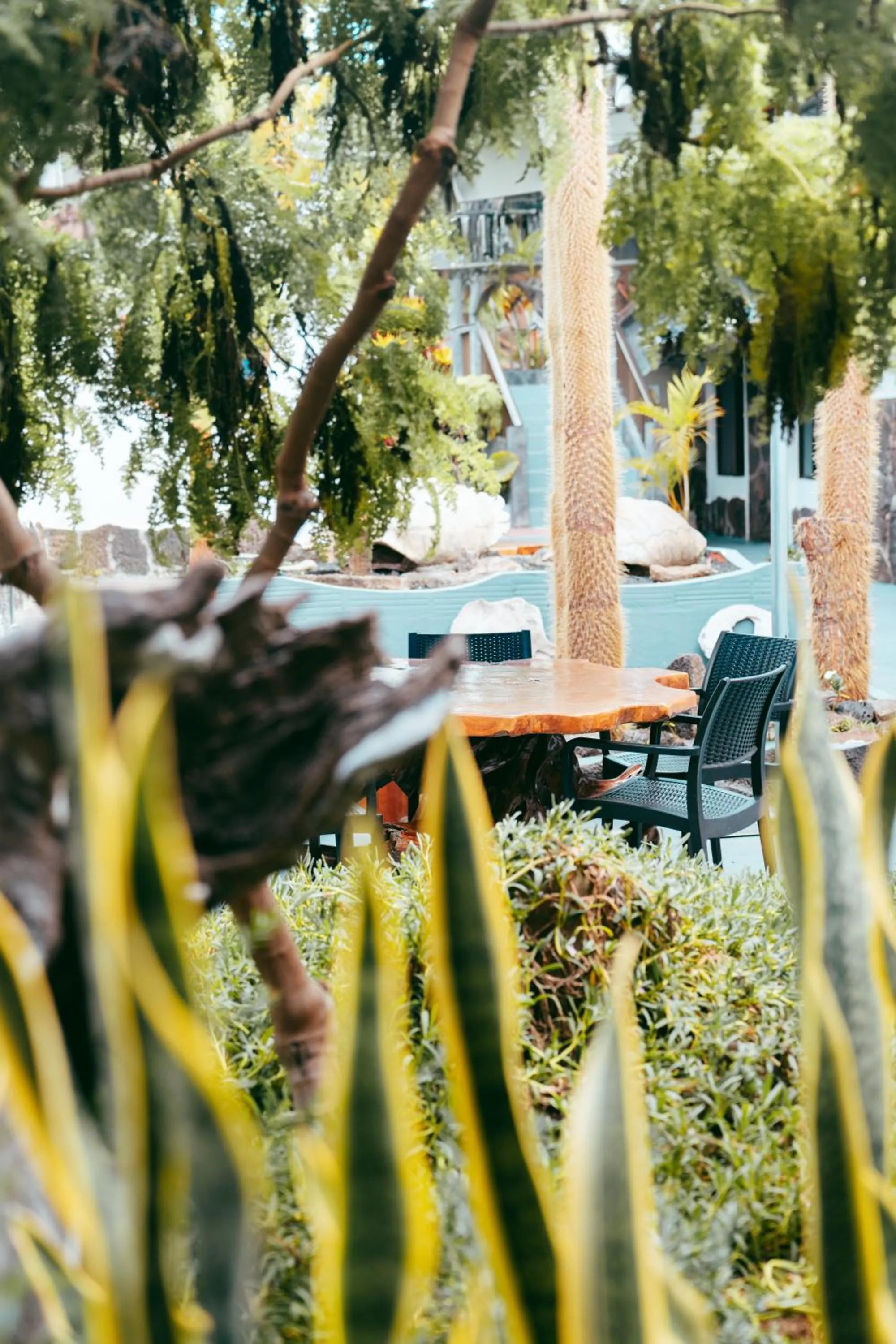 Natural landscape in Fernandina Hotel & Spa