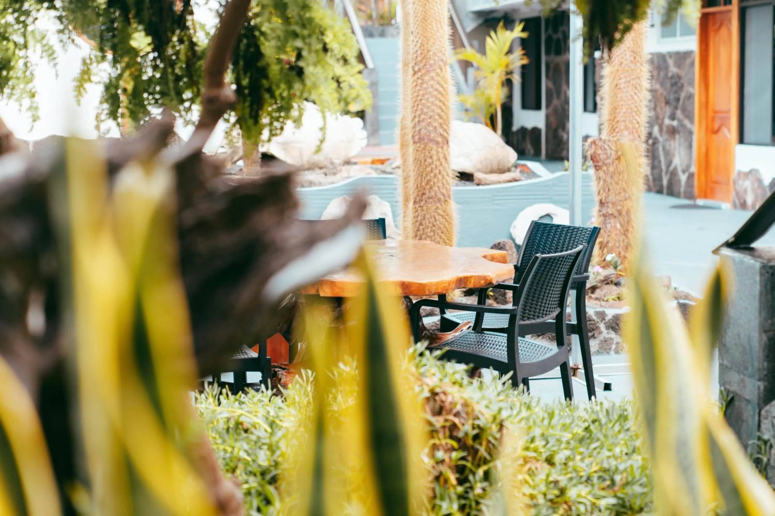 Patio in Fernandina Hotel & Spa