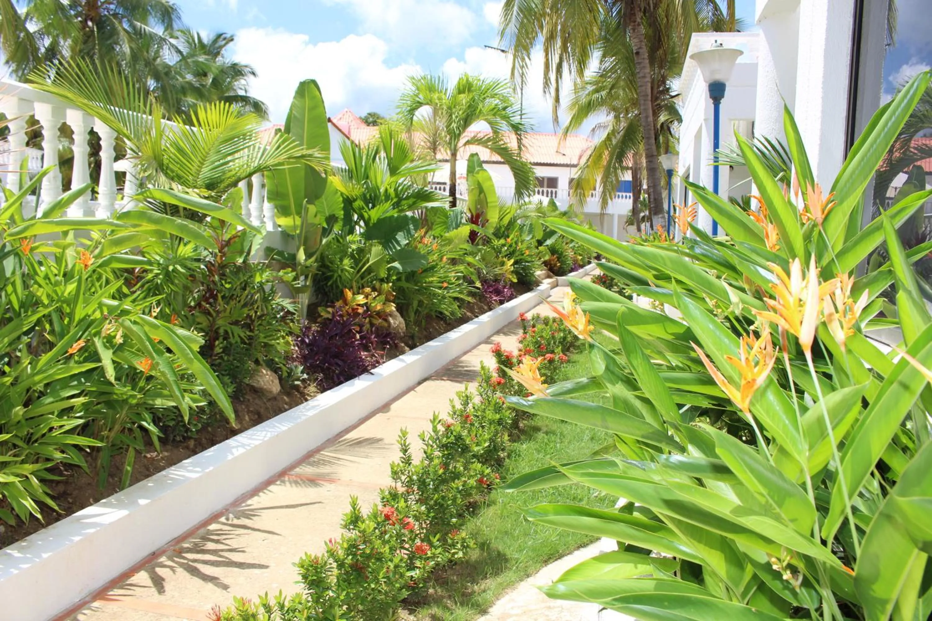 Garden in VAIA HOTELES