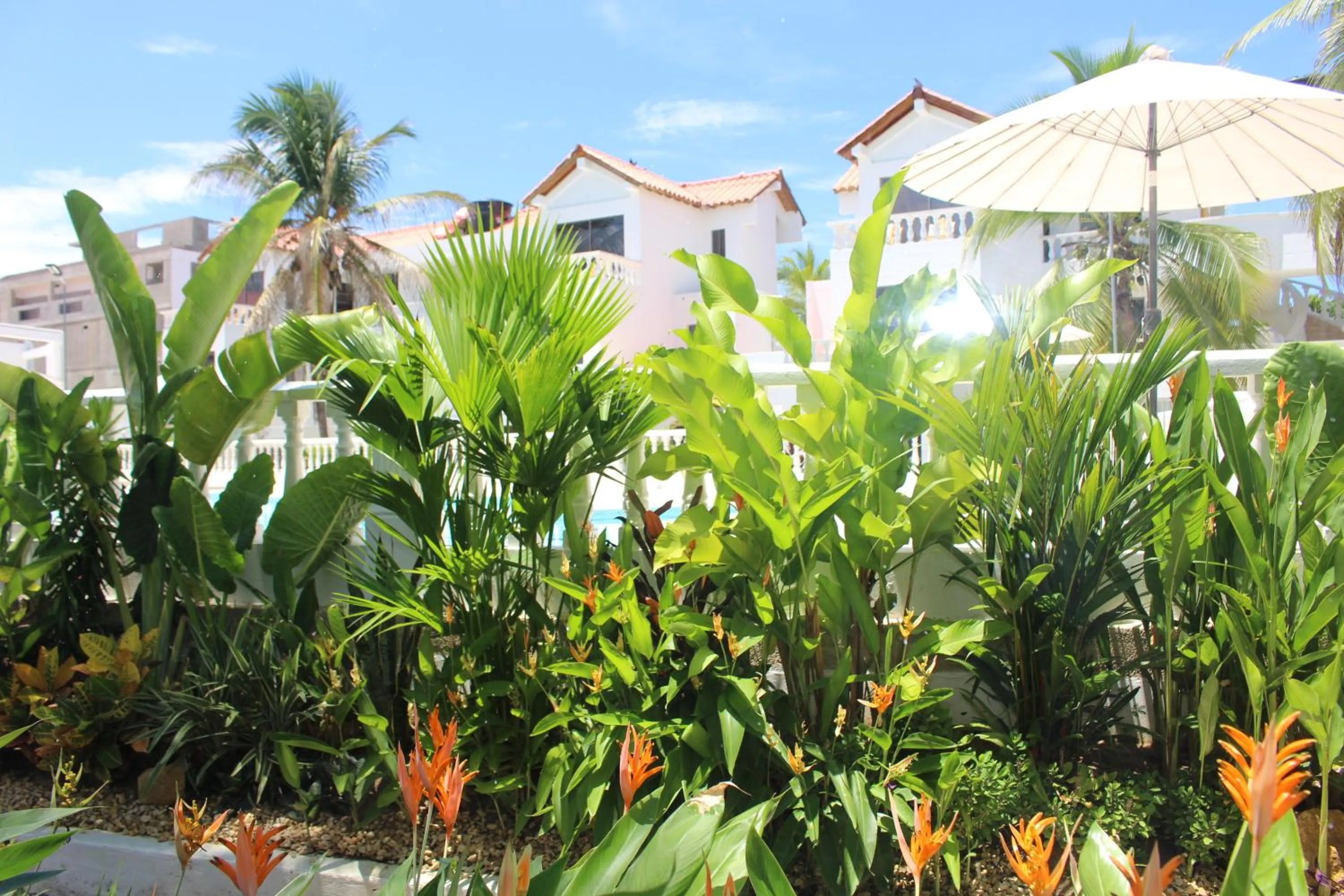 Garden in VAIA HOTELES