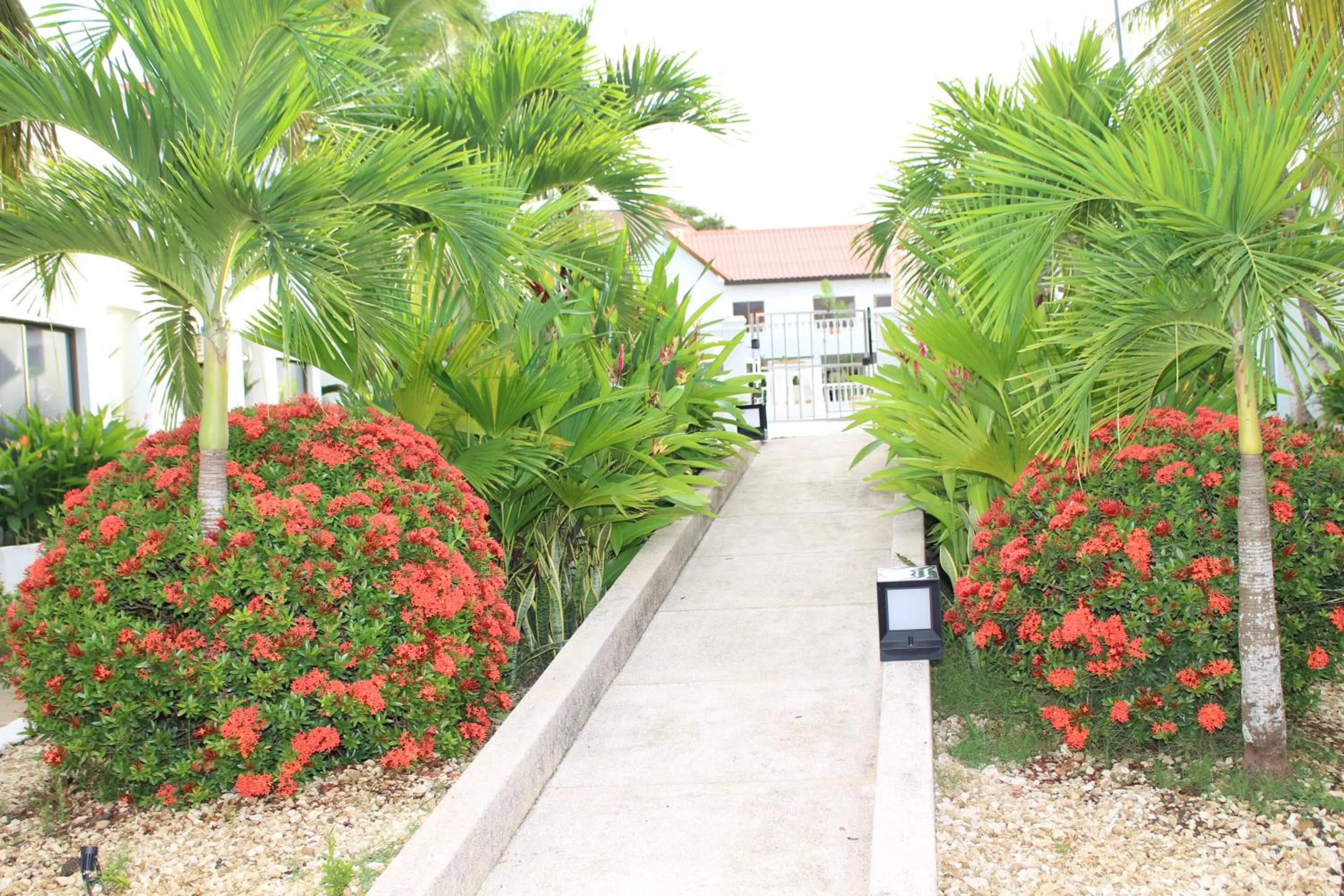 Garden in VAIA HOTELES