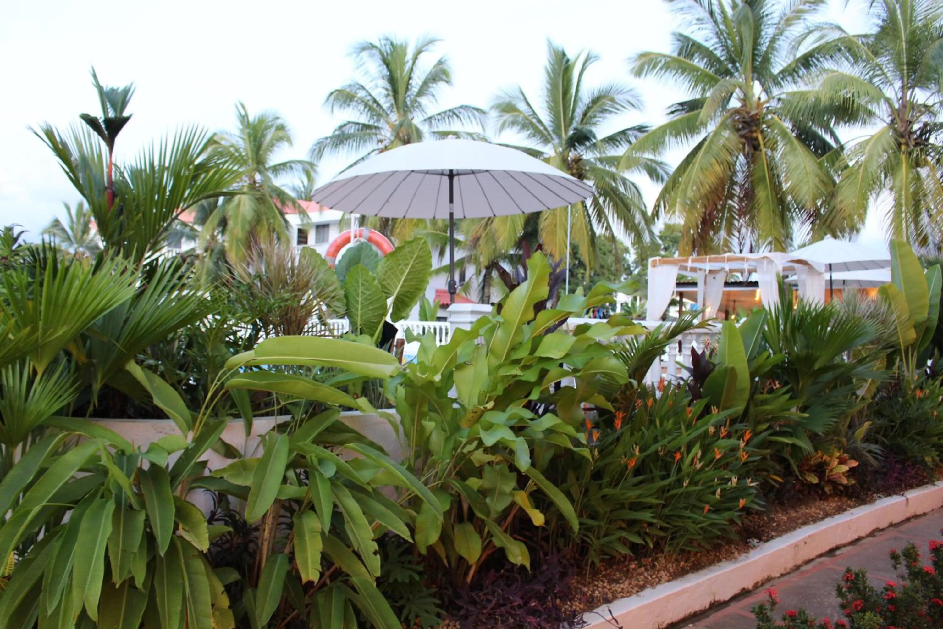 Garden view in VAIA HOTELES