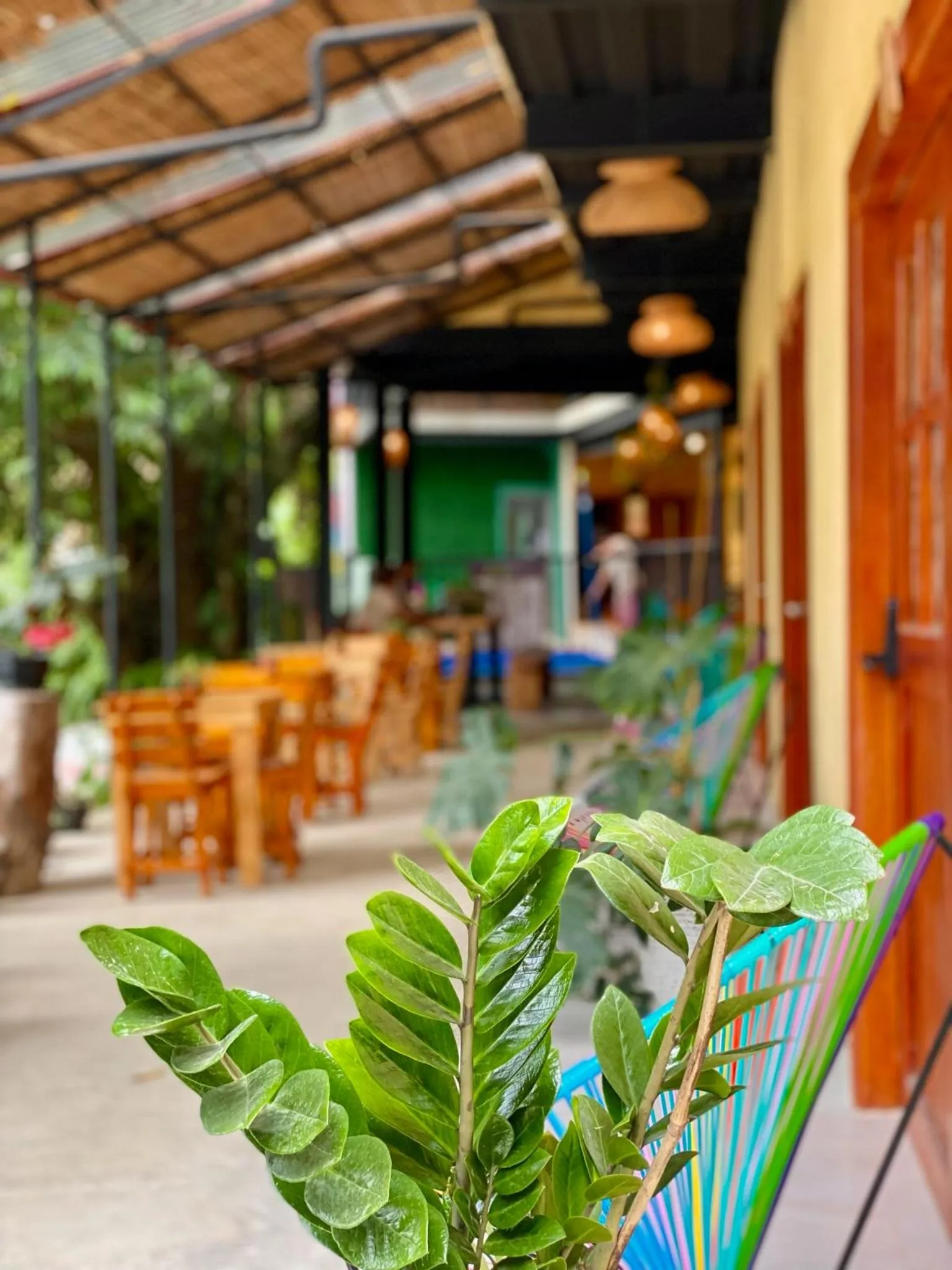 Property building in Coffee House Minca