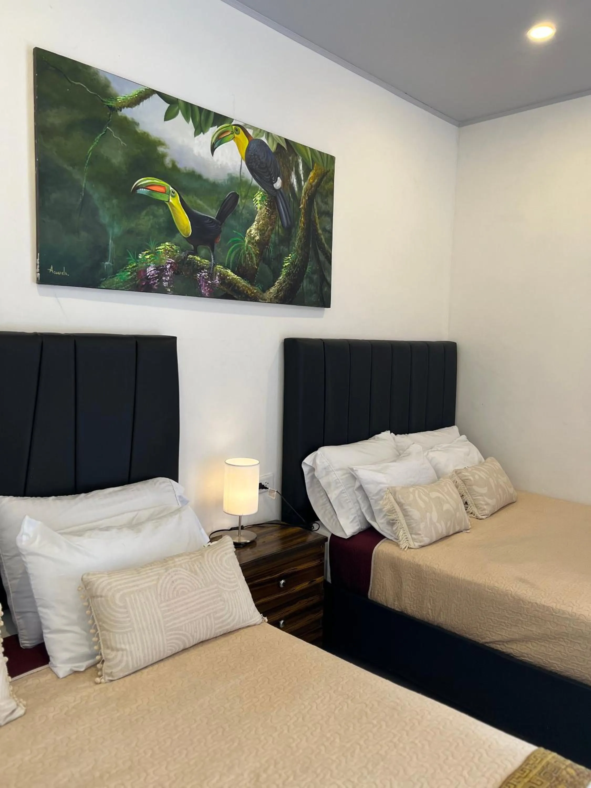 Bed in Coffee House Minca