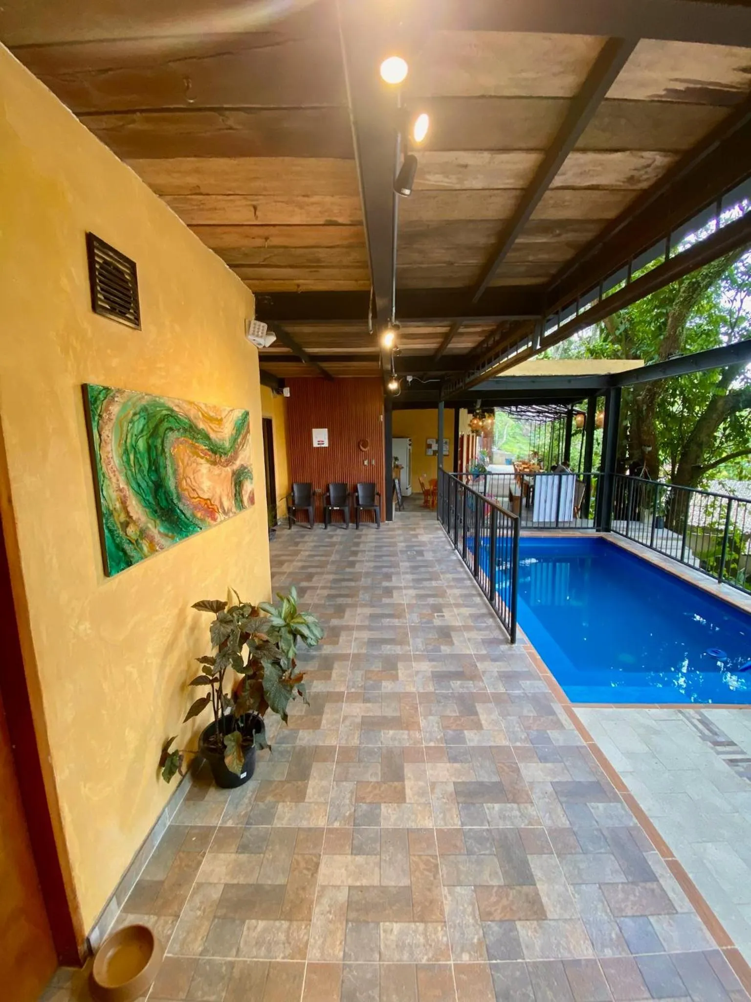 Day in Coffee House Minca