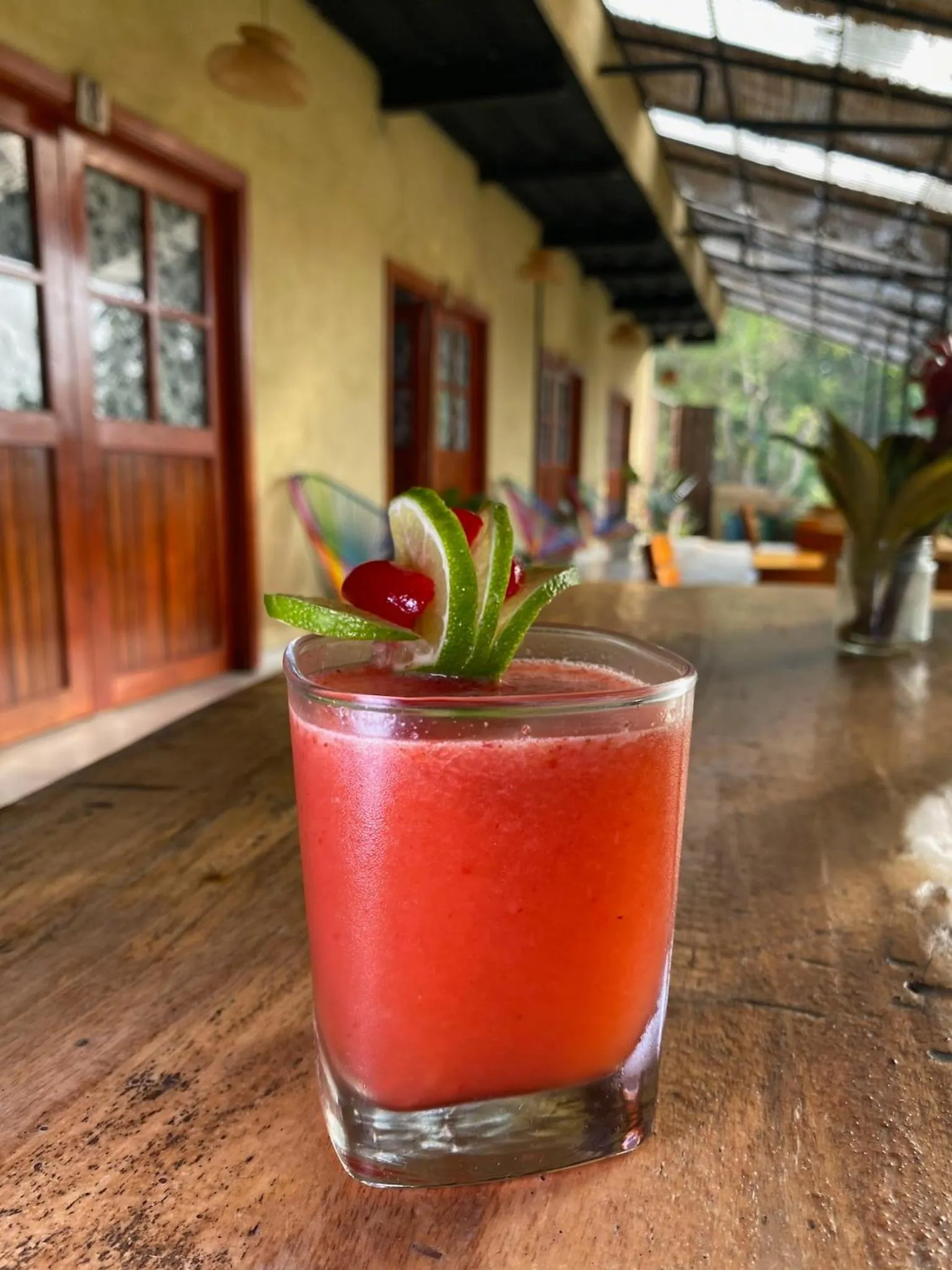 Lounge or bar in Coffee House Minca