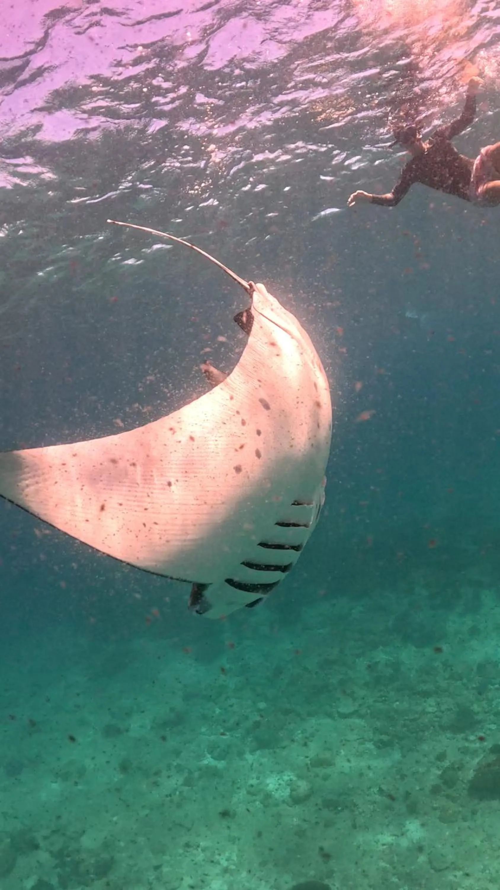 Dhigurah Dhonveli Boutique