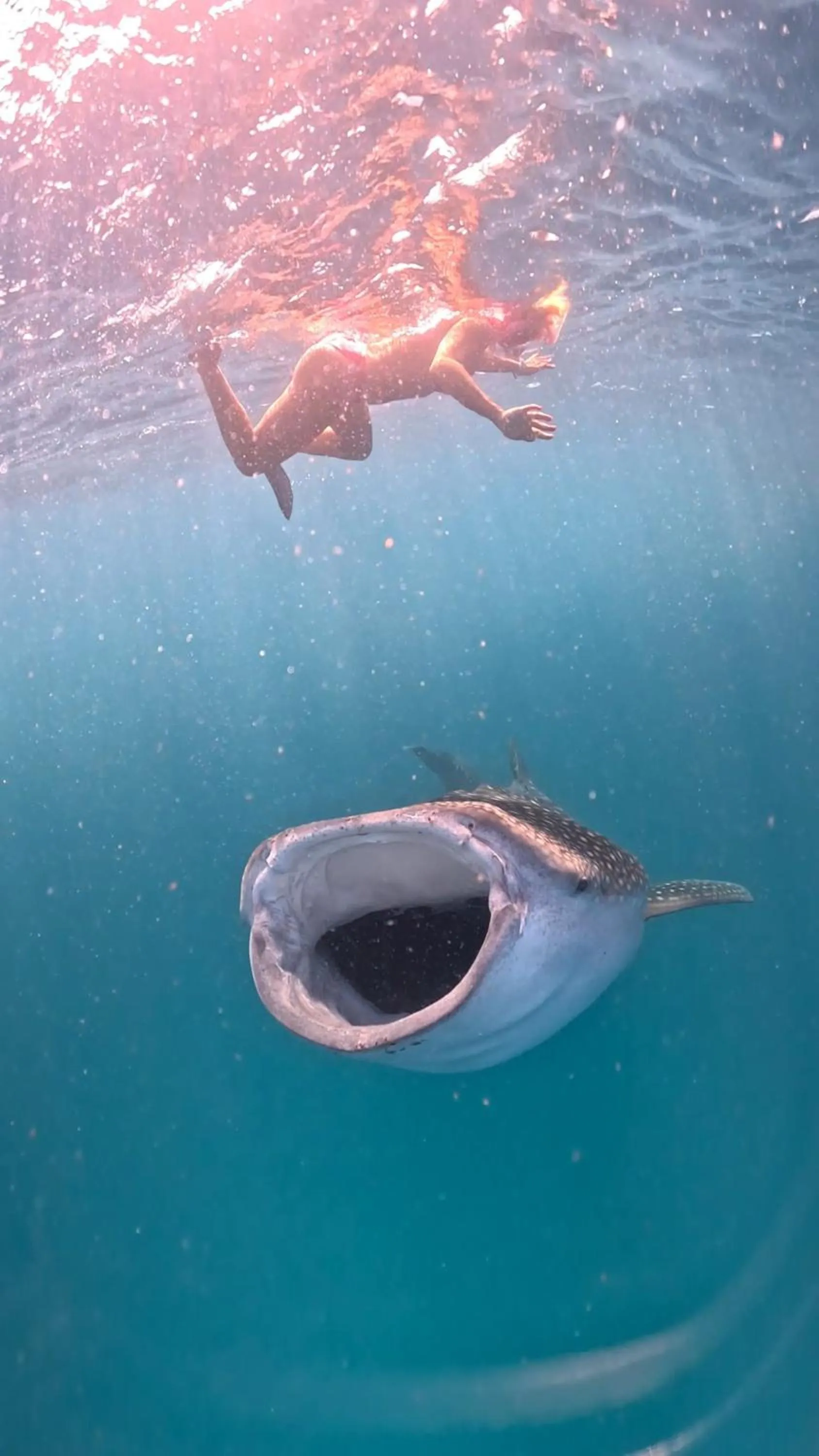 Dhigurah Dhonveli Boutique