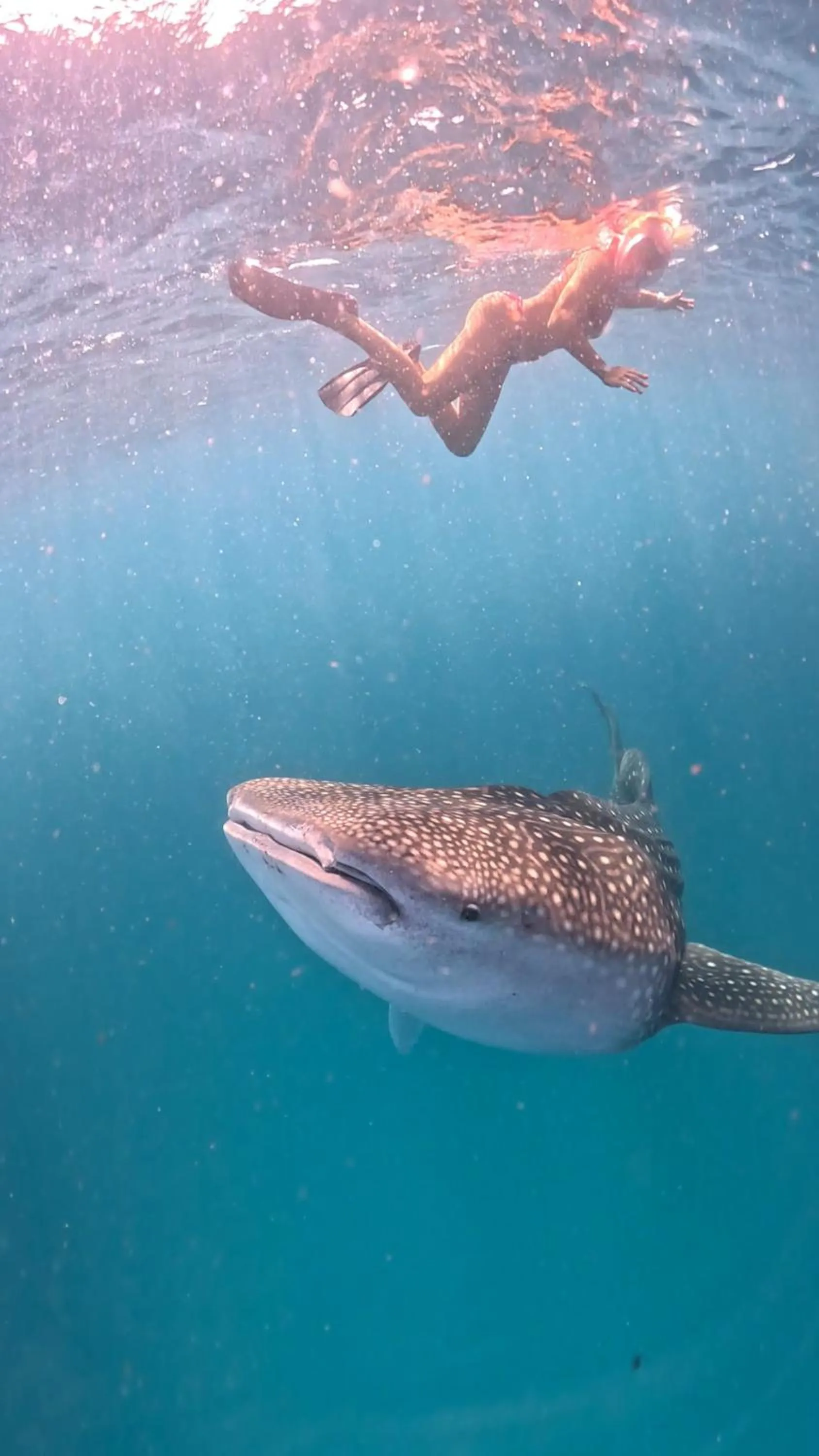 Dhigurah Dhonveli Boutique