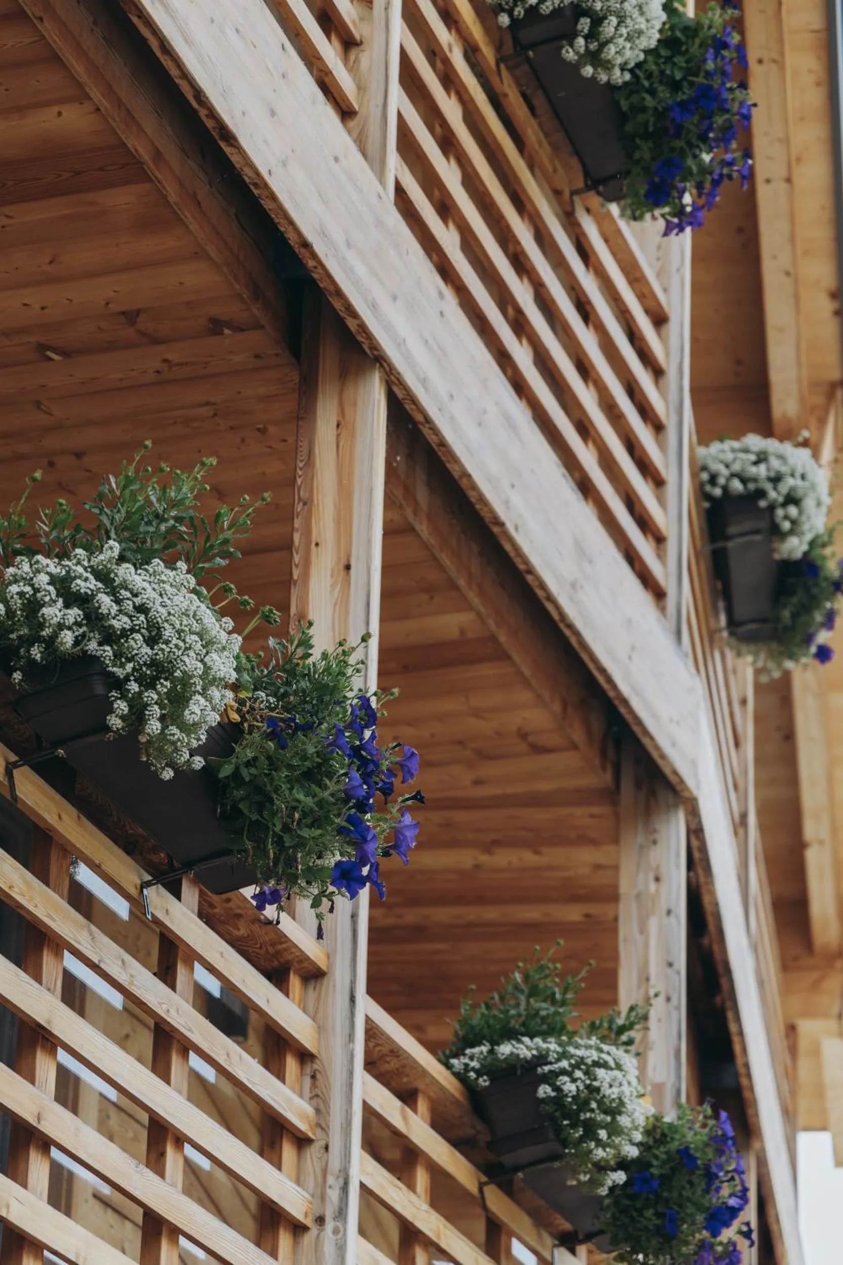 Balcony/Terrace in Apart-Hotel Laurus Lech