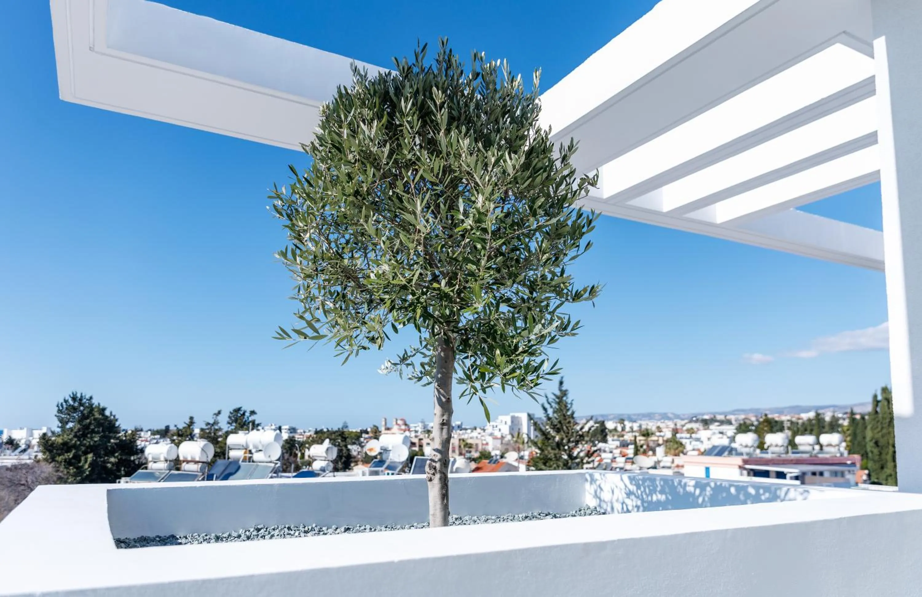 Day in Regency Boutique Hotel Holiday Suites