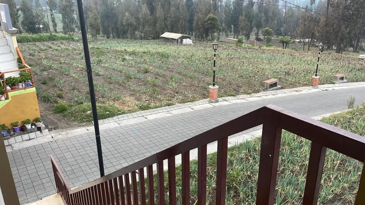 Bromo Semesta Guesthouse