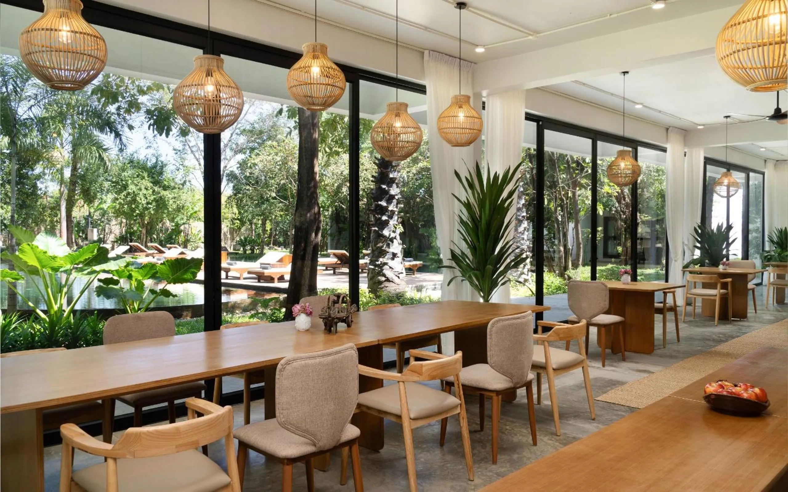 Restaurant/places to eat in The Elephant