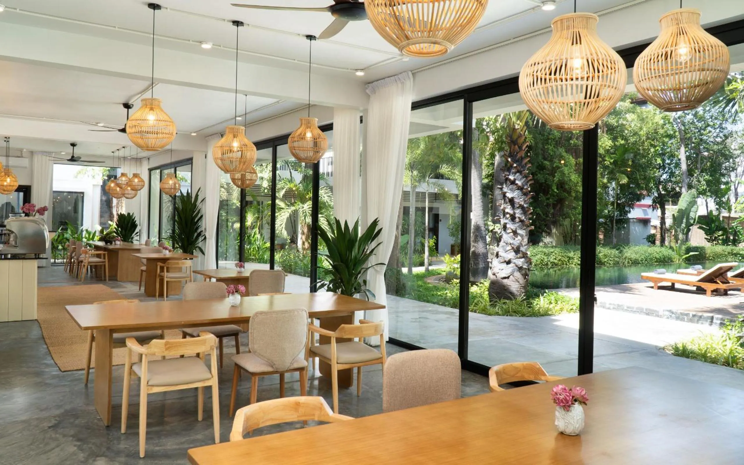 Restaurant/places to eat in The Elephant