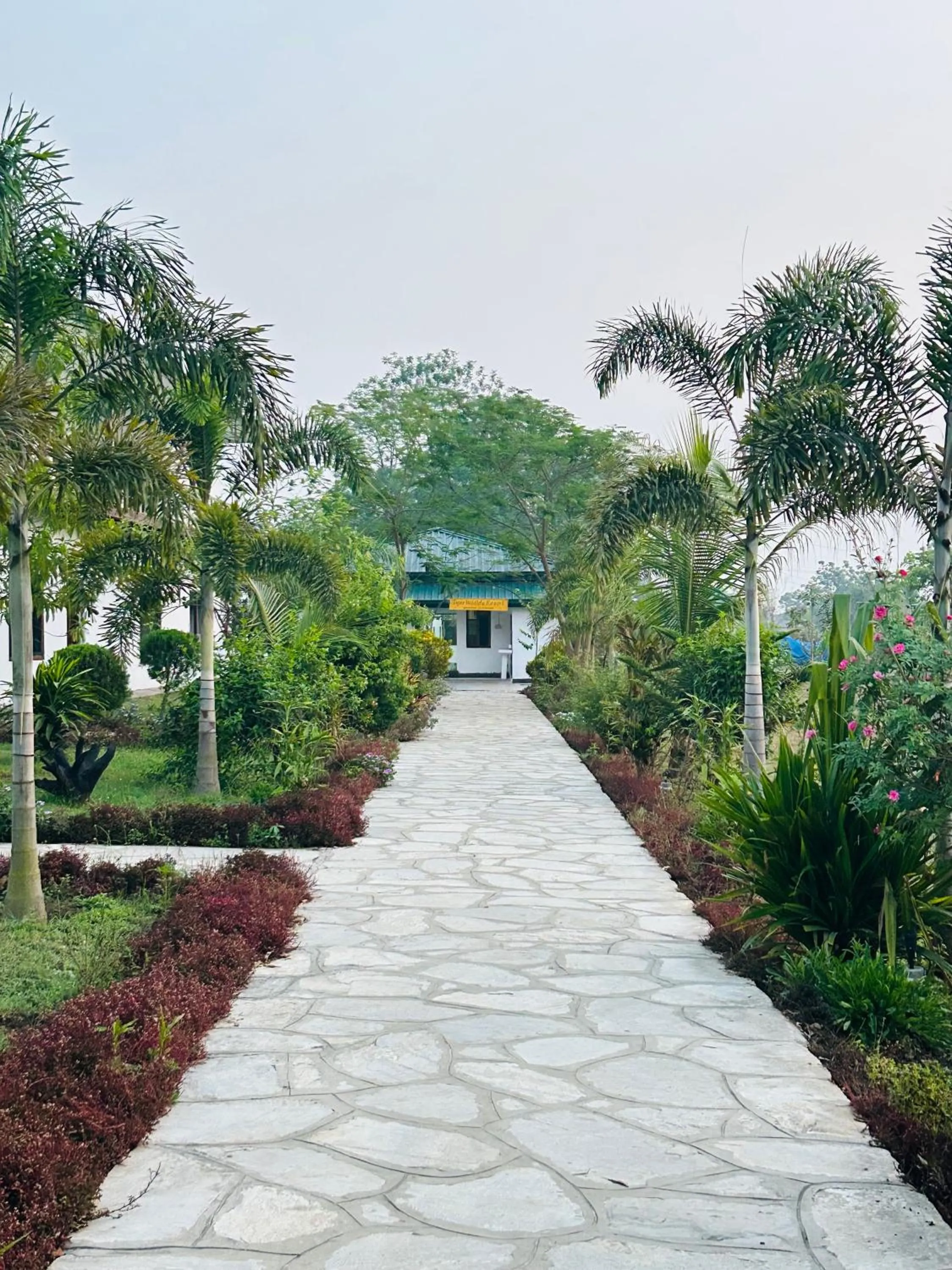 Property building in Tiger Wildlife Resort