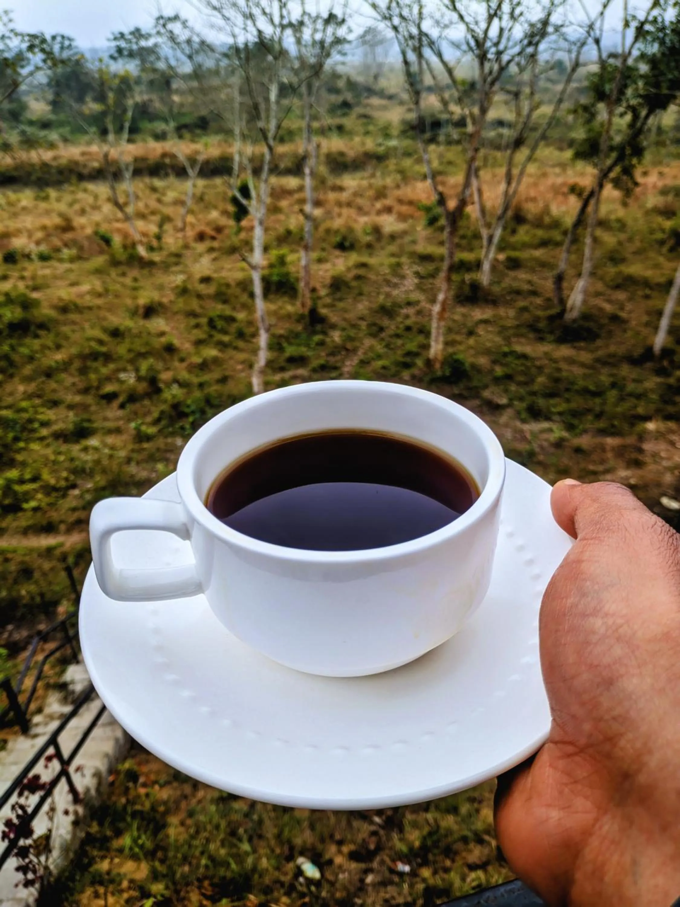 Breakfast in Tiger Wildlife Resort
