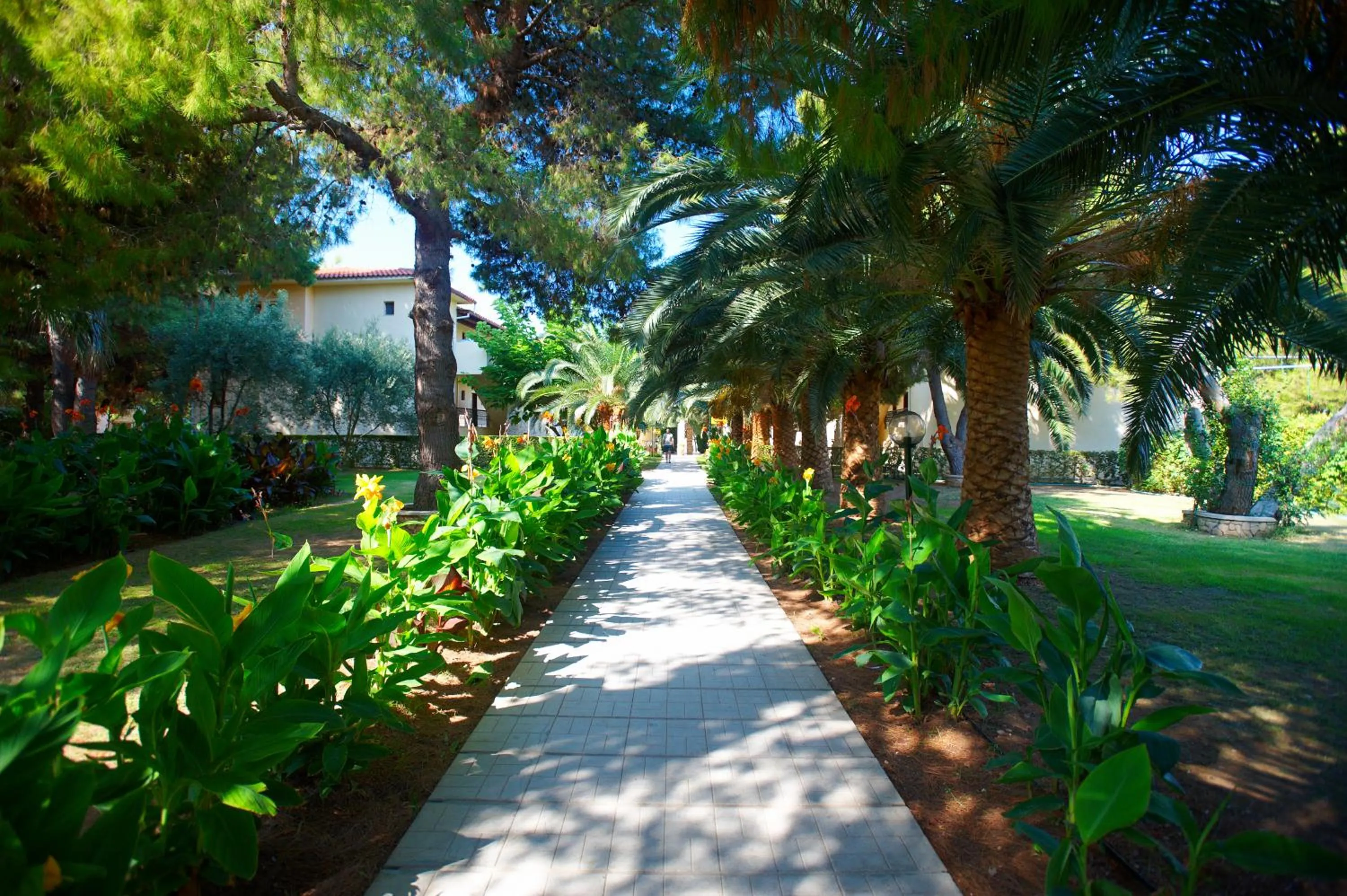 Natural landscape in Portes Beach Hotel