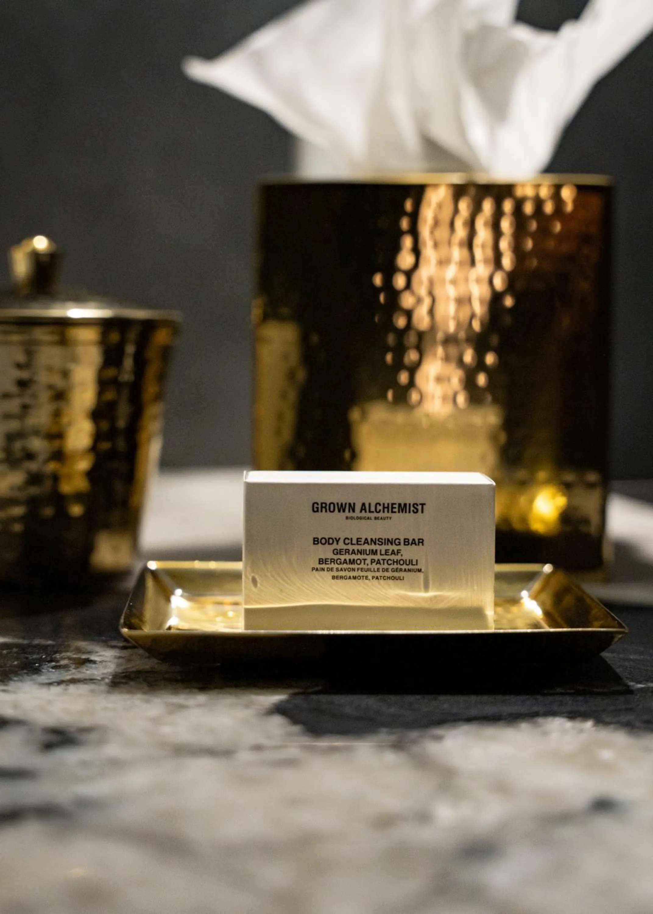 Decorative detail in The Radical Asheville, Tapestry Collection by Hilton