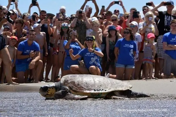 Nearby landmark in Palmyra Beach Hotel