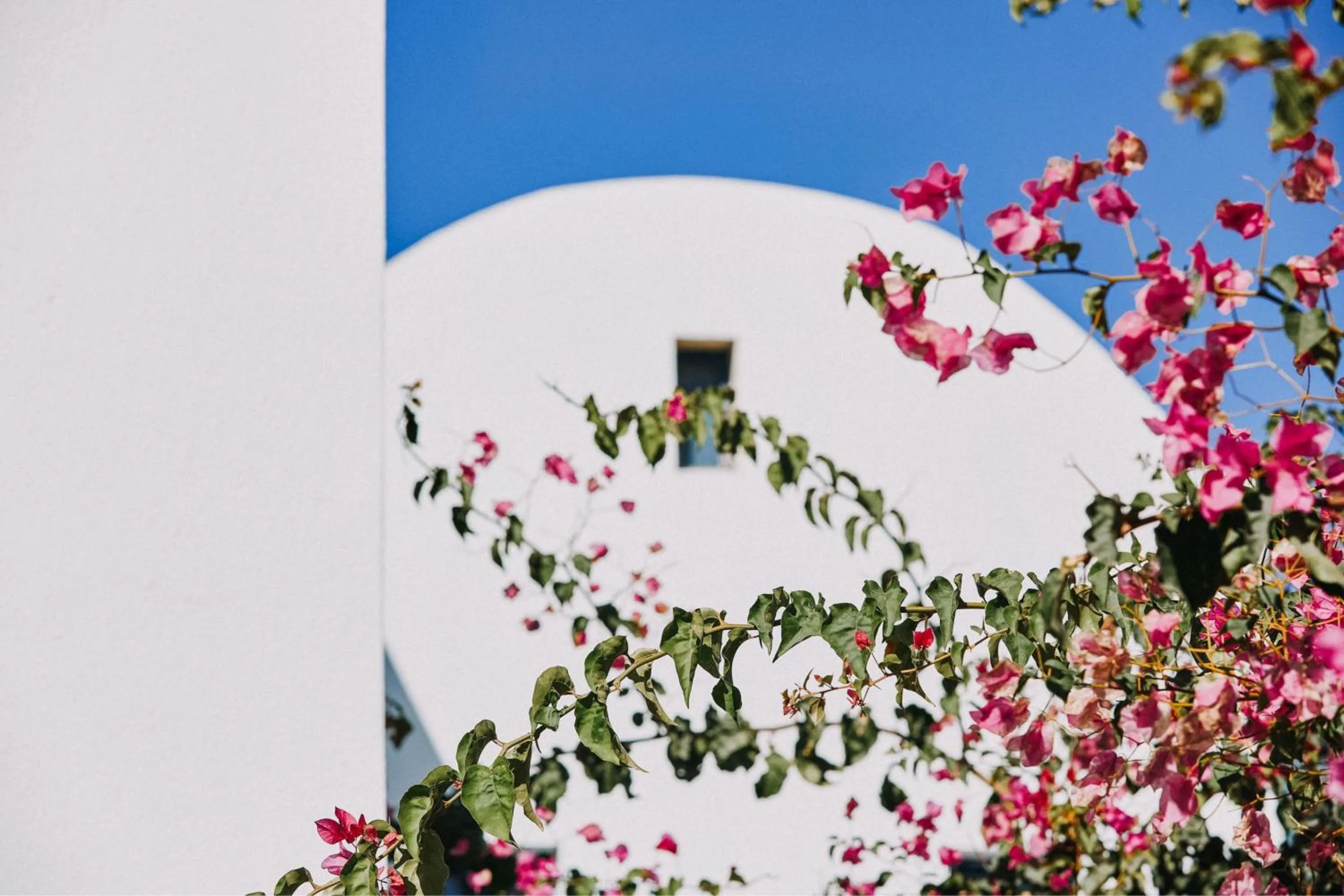 View (from property/room) in Vedema, a Luxury Collection Resort, Santorini