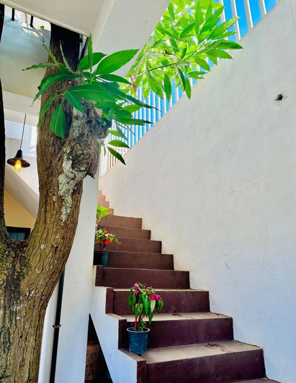 Facade/entrance in Sea Breeze Guest House Negombo