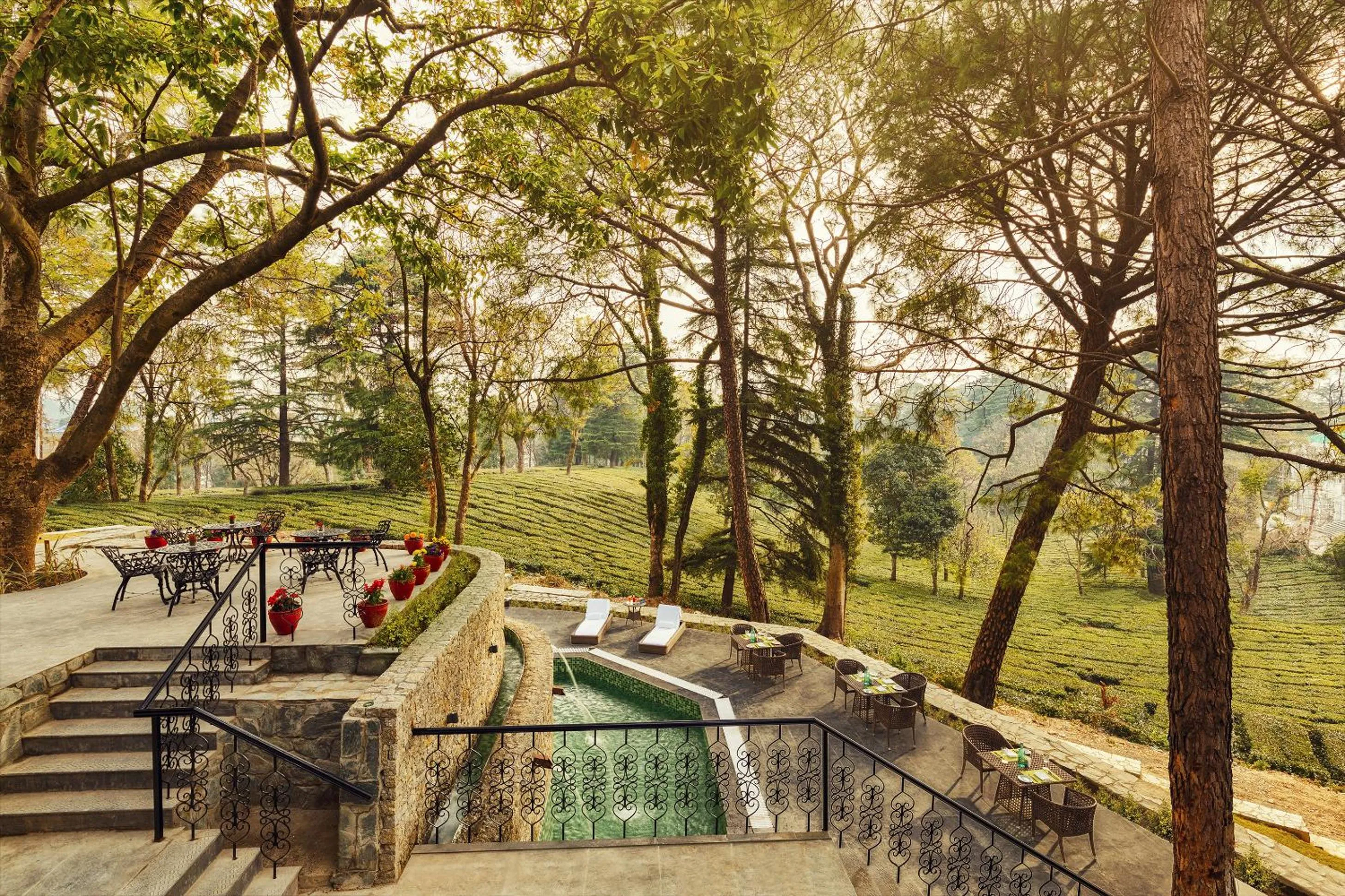 Breakfast in Infinitea Dakbunglow Palampur