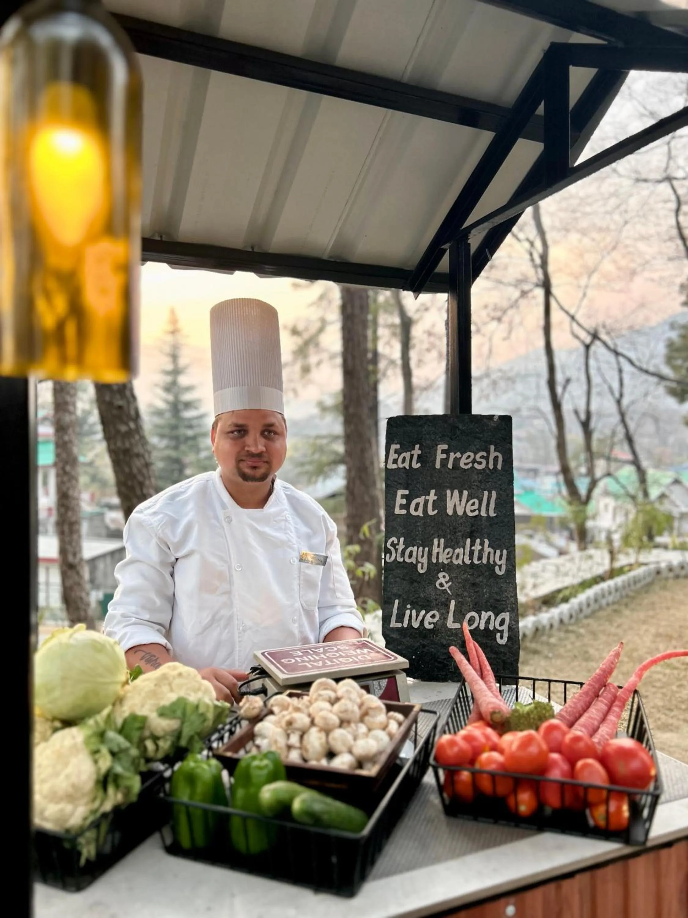 Restaurant/places to eat in Infinitea Dakbunglow Palampur