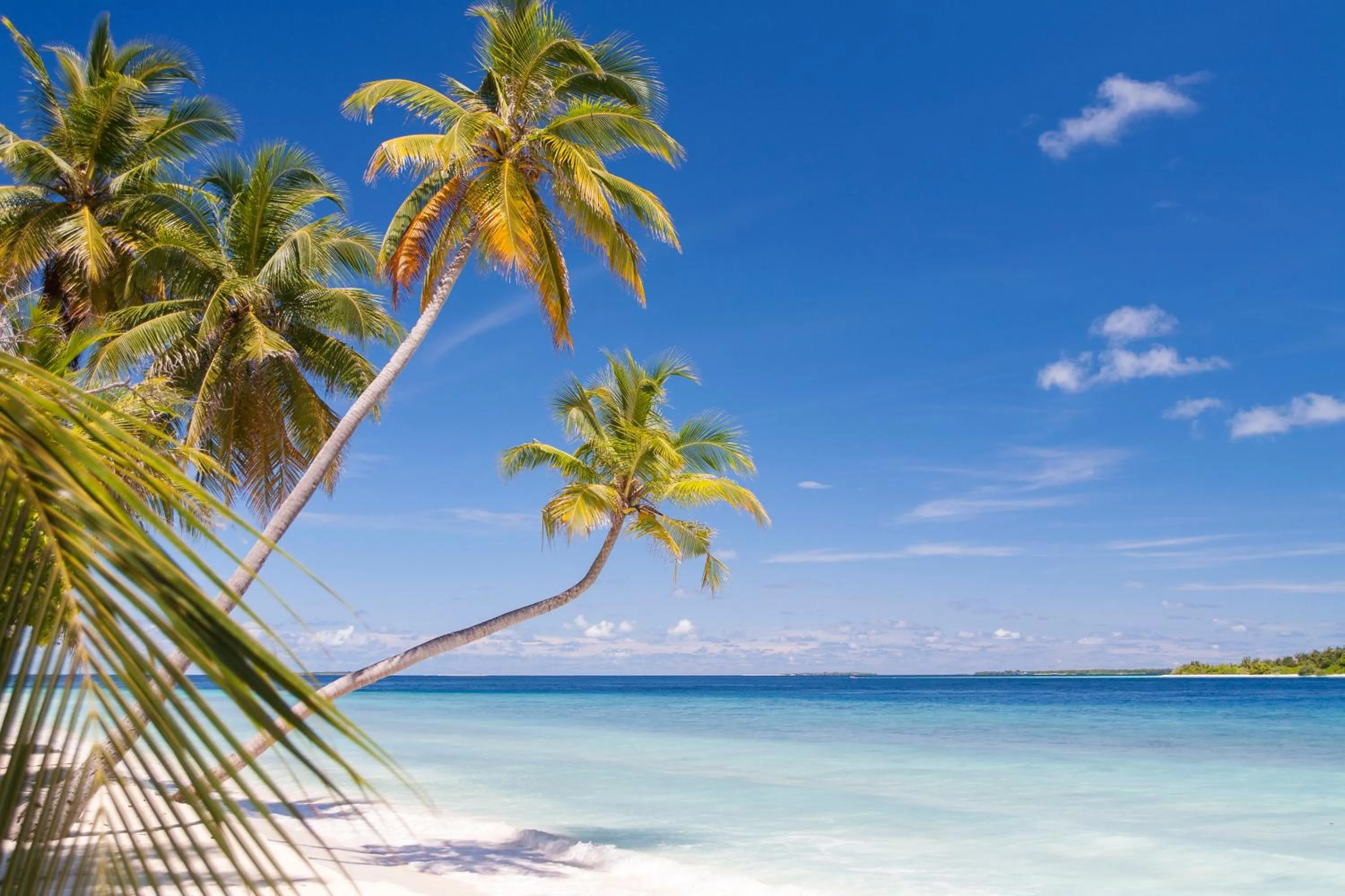 Dhonfulhafi Beach View